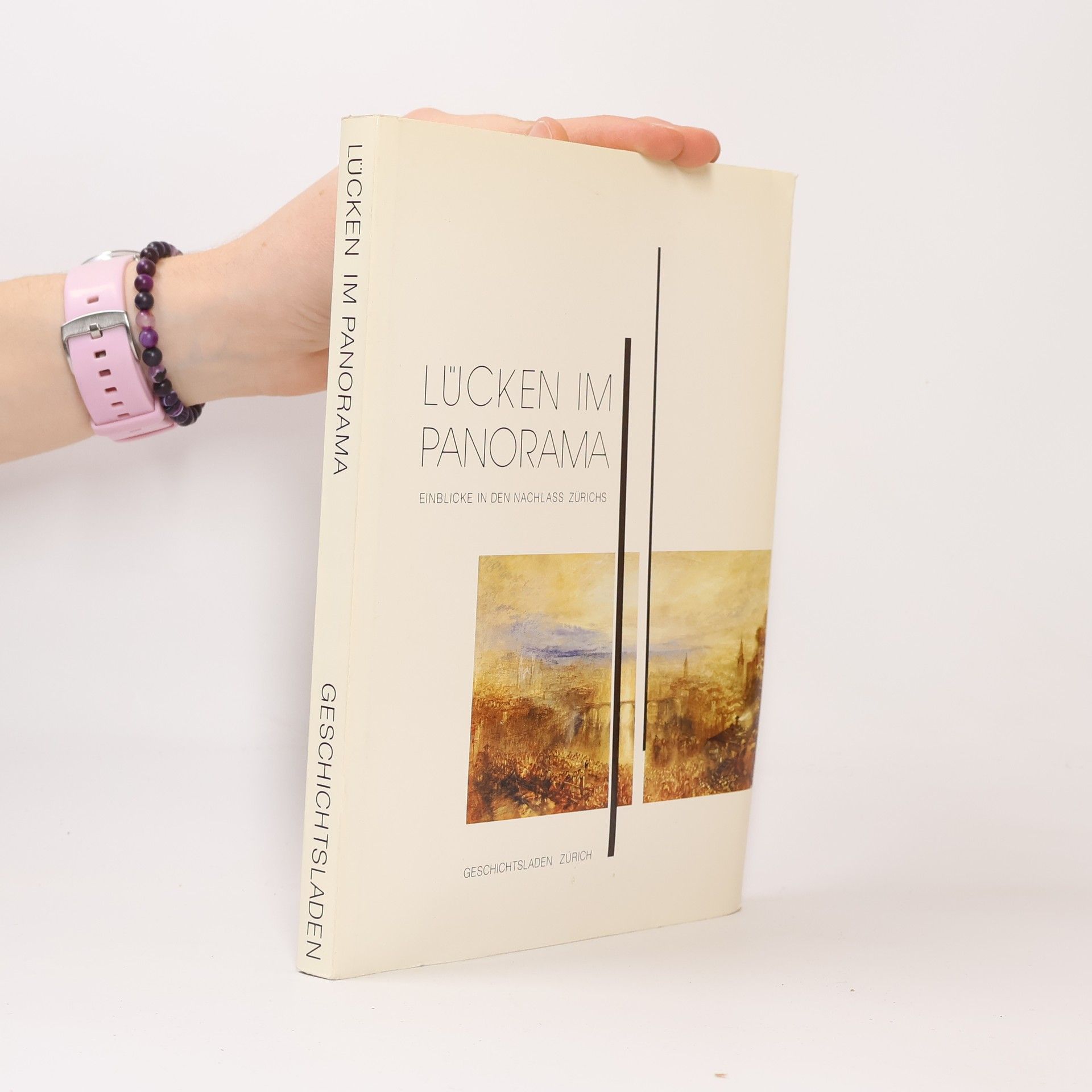 Autorenkollektiv Lücken im Panorama