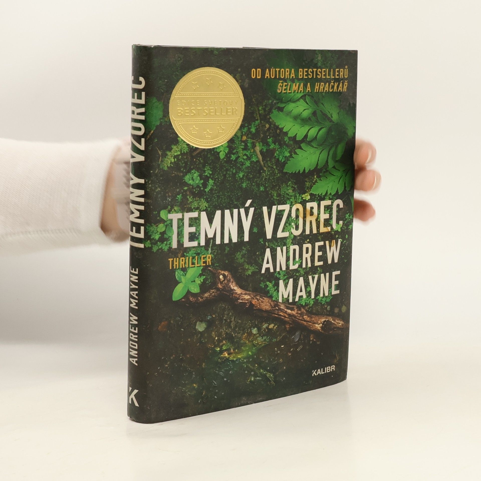 Andrew Mayne Temný vzorec