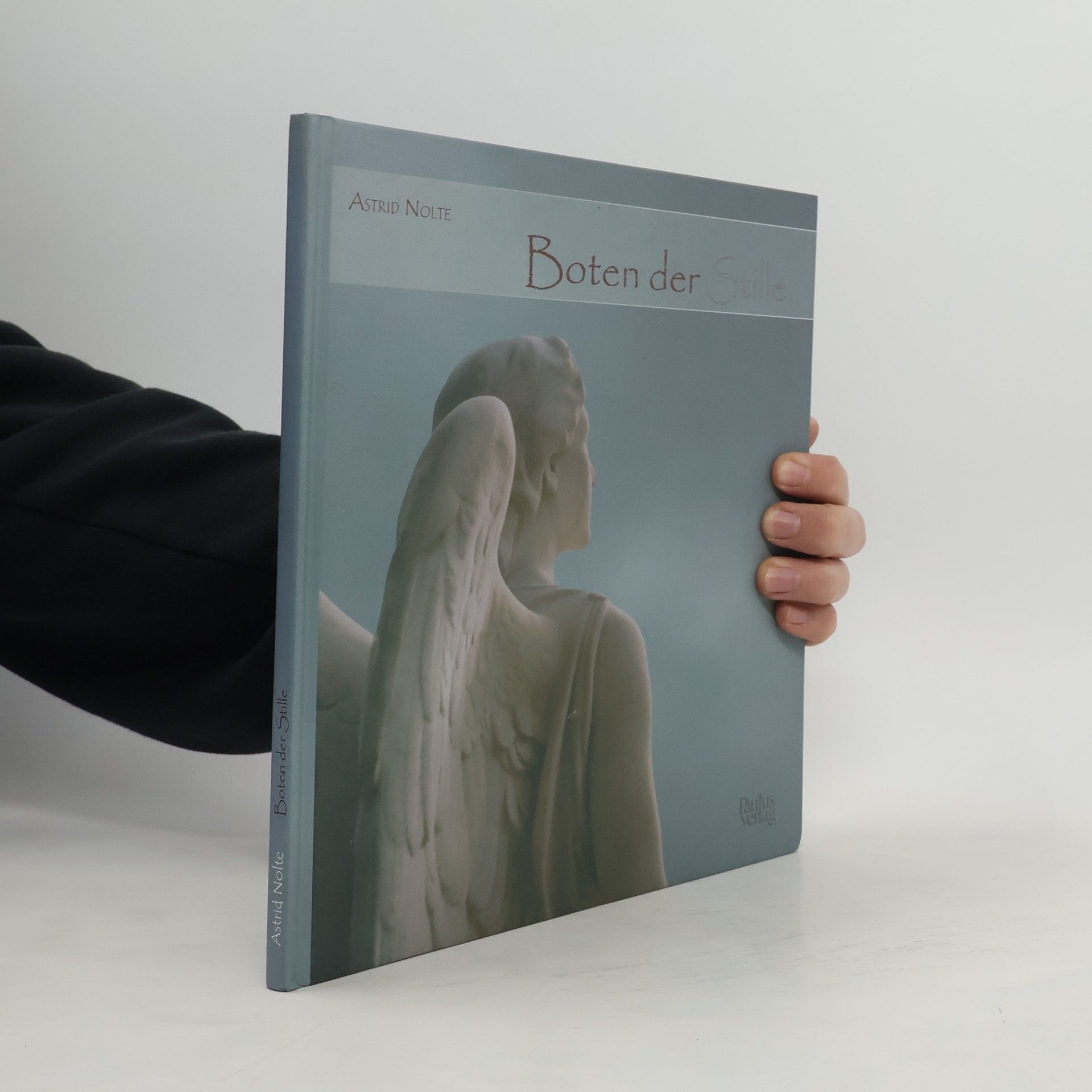 Astrid Nolte Boten der Stille