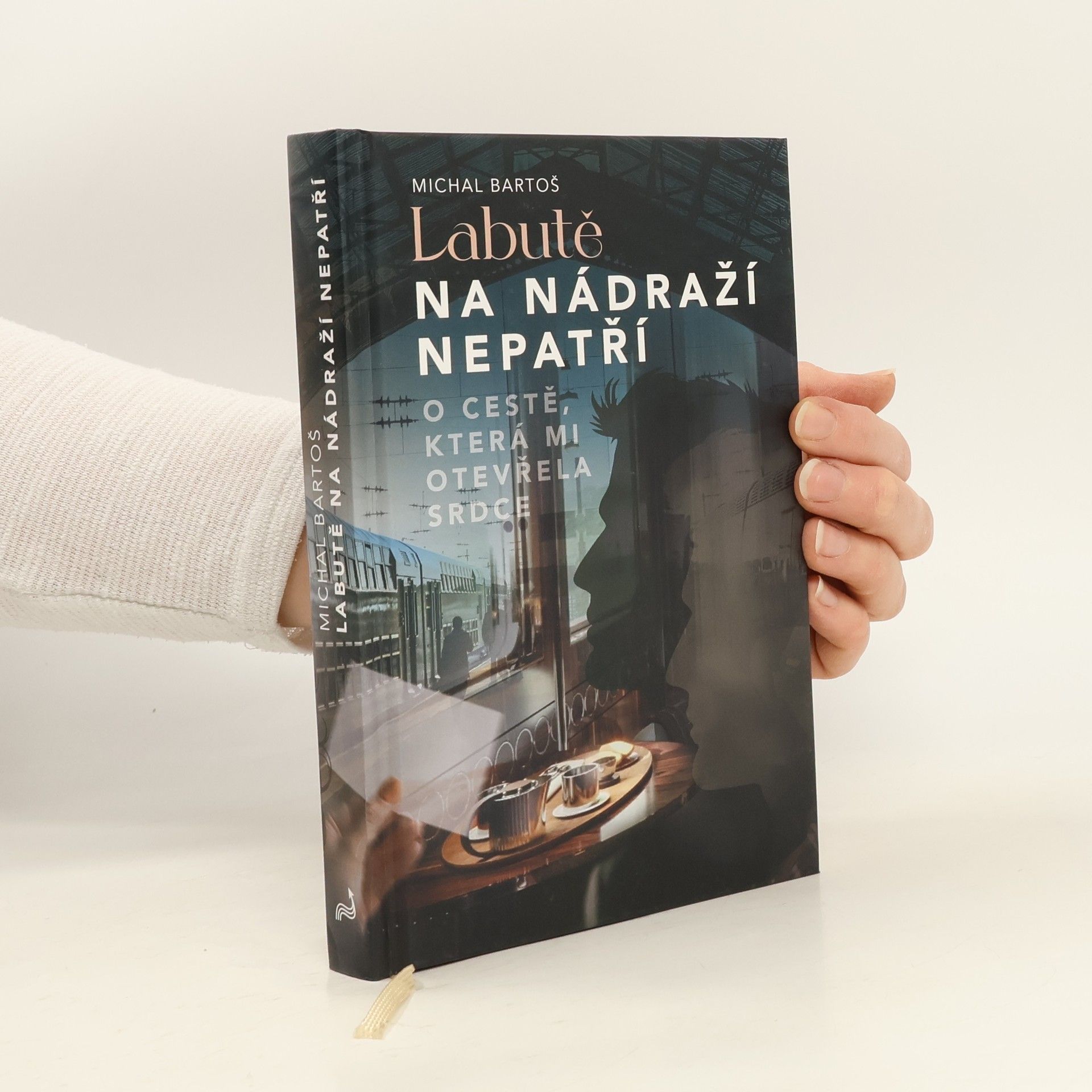 Labutě na nádraží nepatří