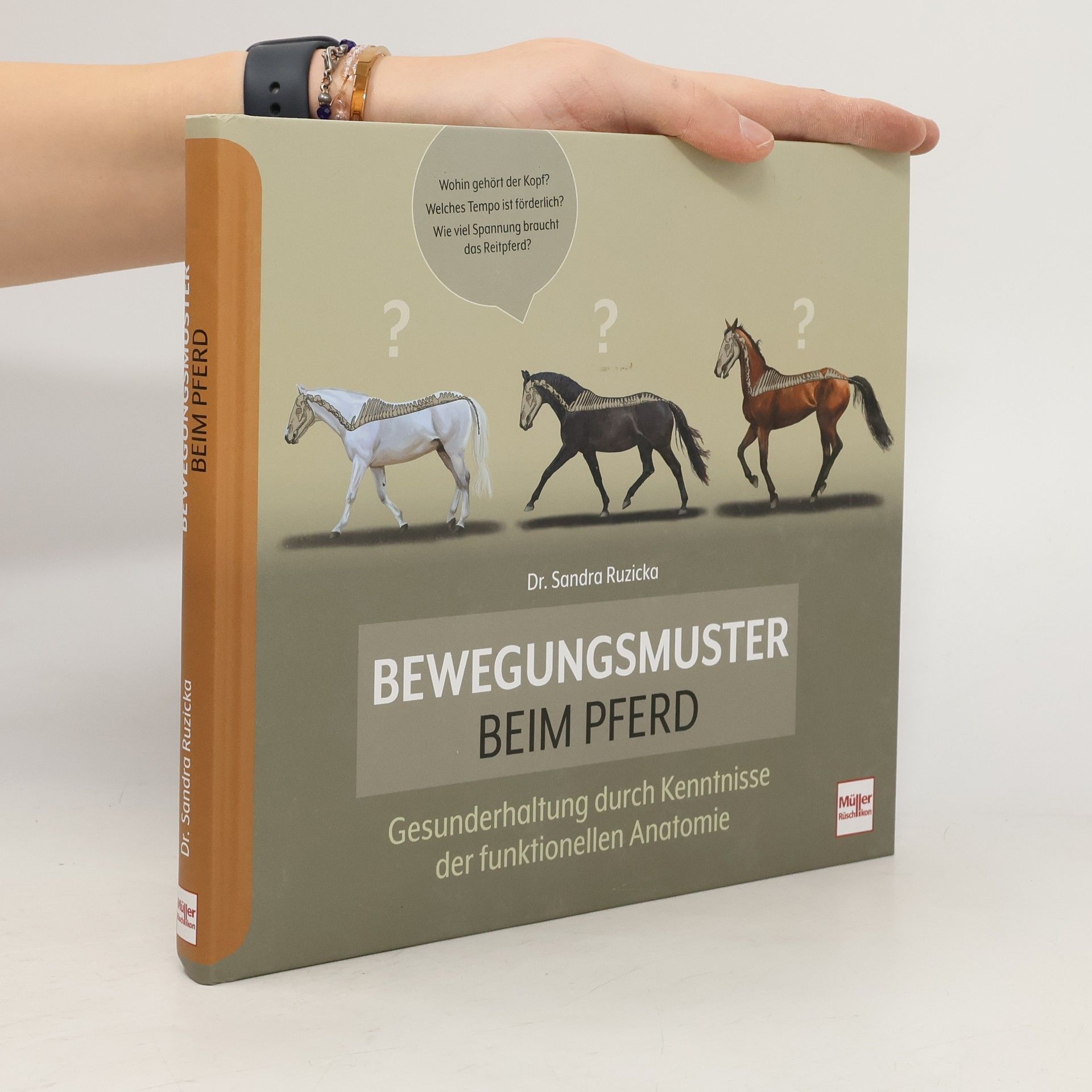 Bewegungsmuster beim Pferd