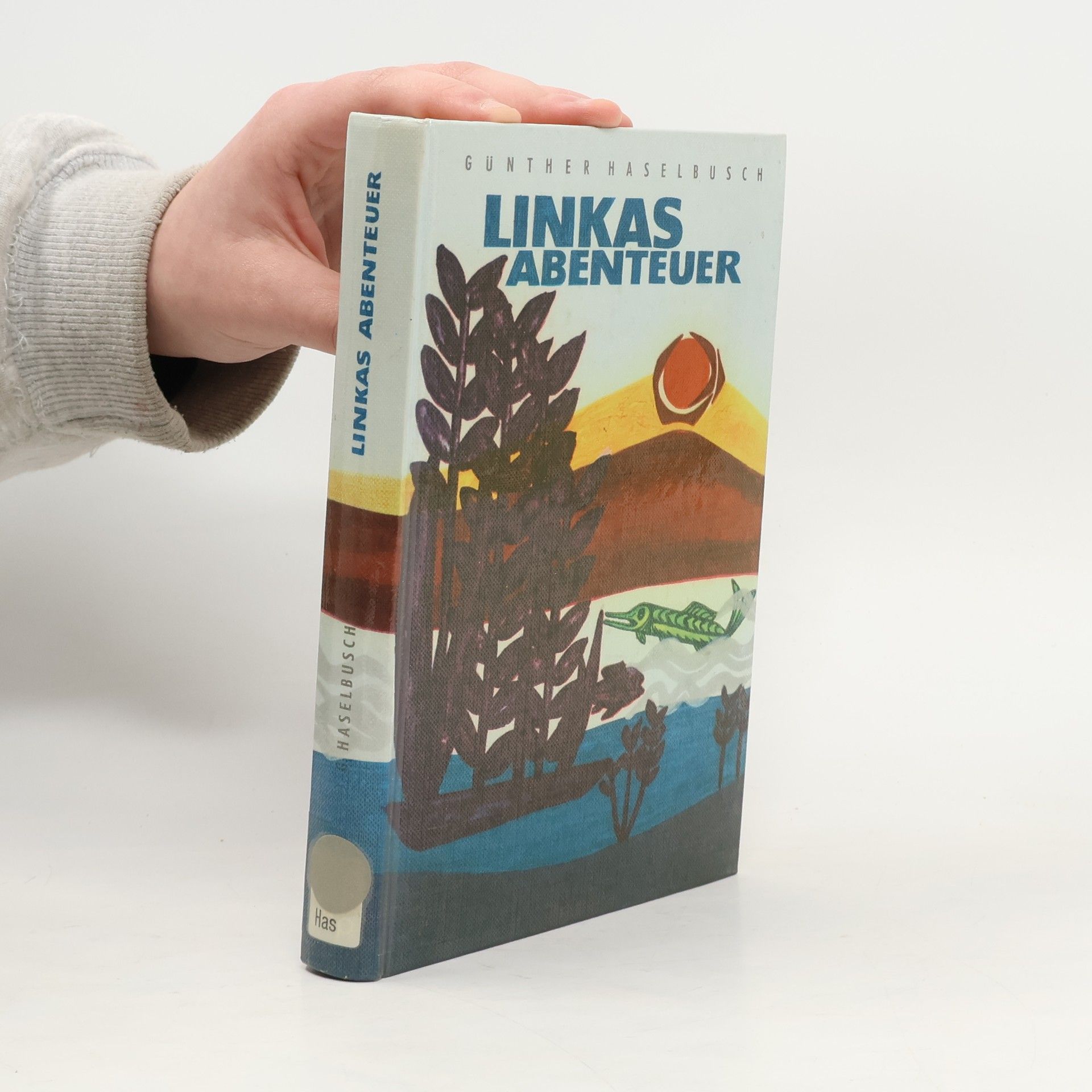 Gunther Haselbusch Linkas Abenteuer