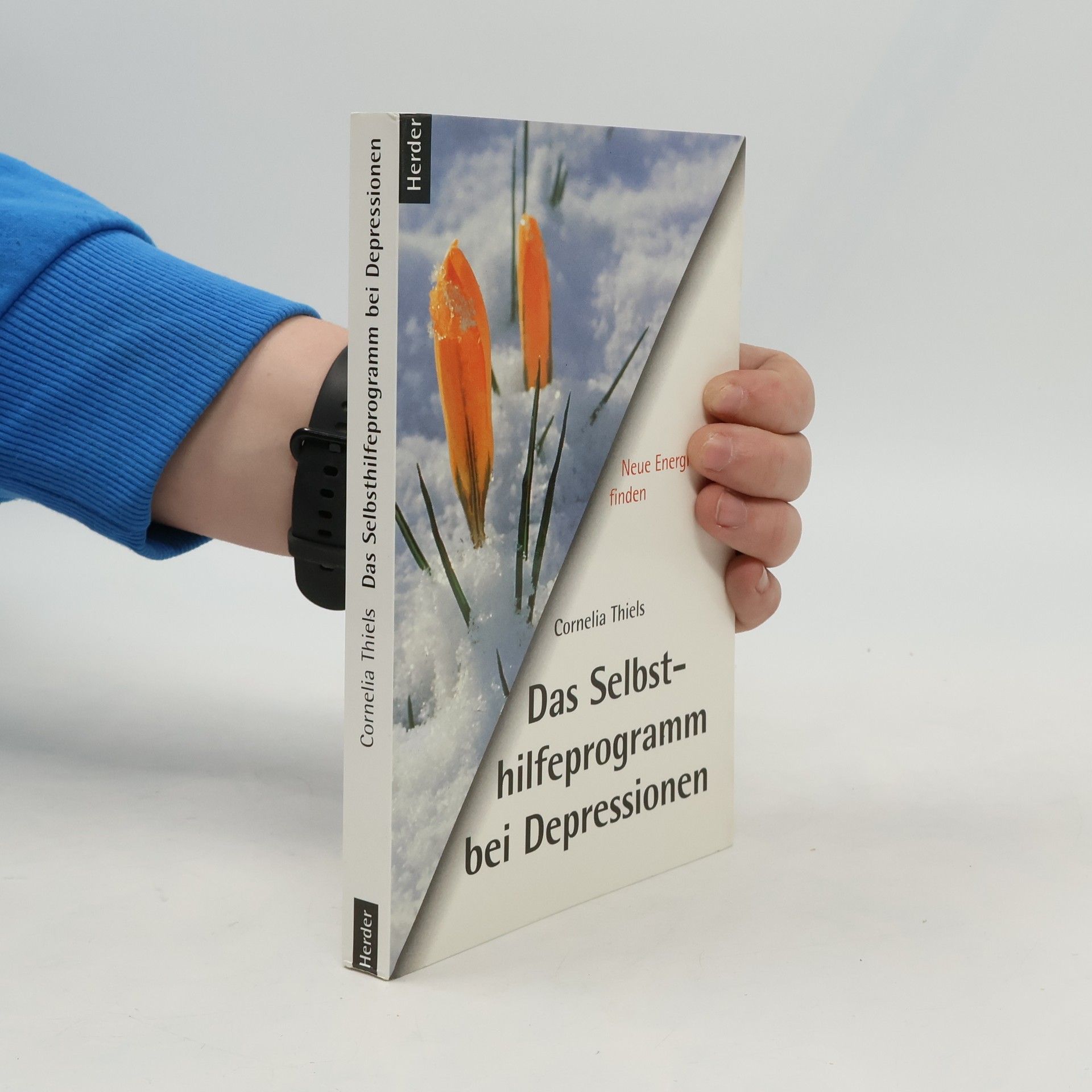 Das Selbsthilfeprogramm bei Depressionen