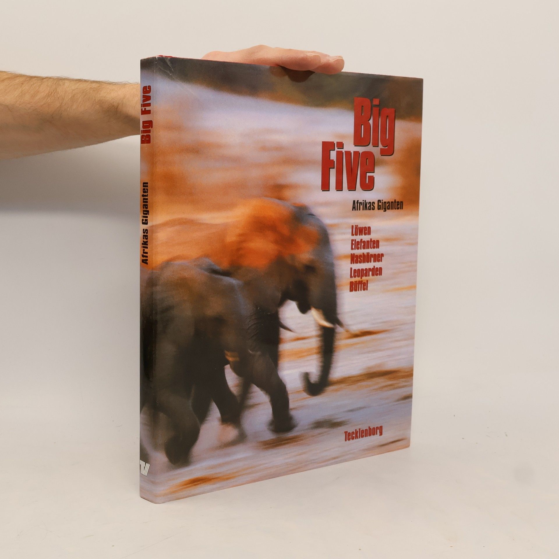 Stefanie Tecklenborg Big Five