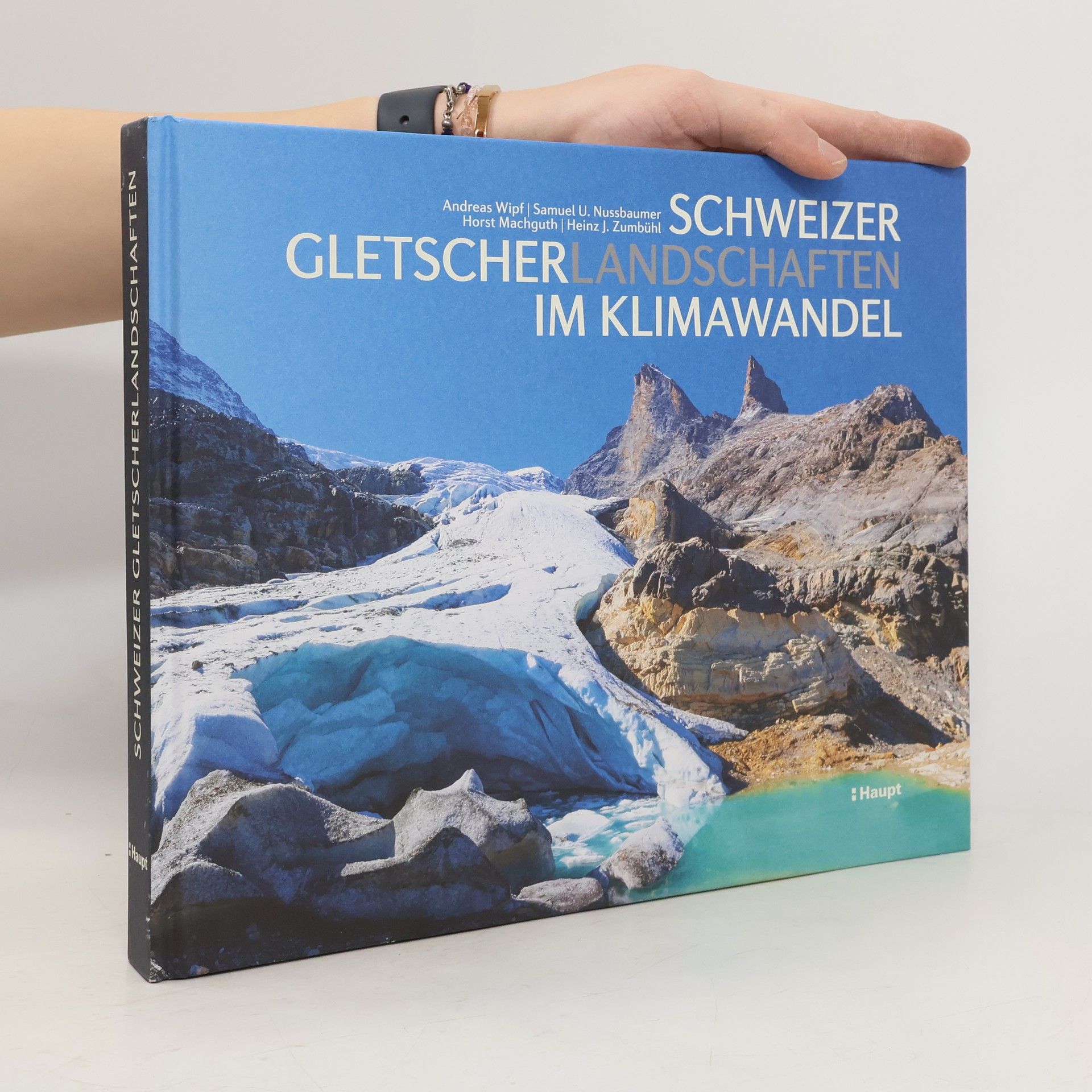 Andreas Wipf Schweizer Gletscherlandschaften im Klimawandel