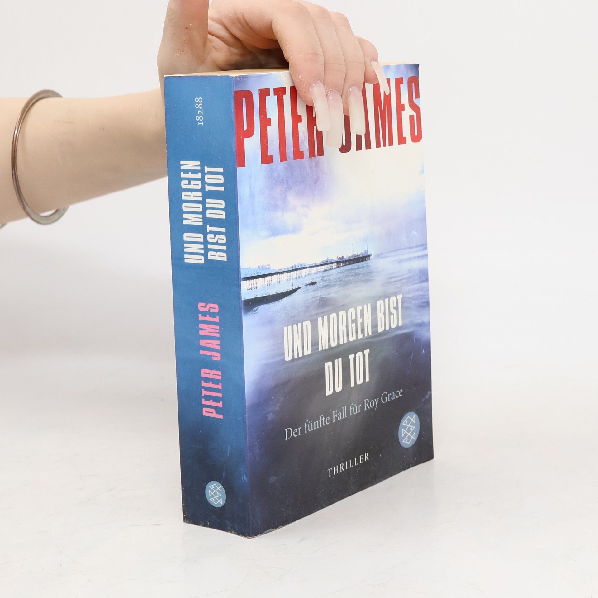 Peter James Und morgen bist du tot