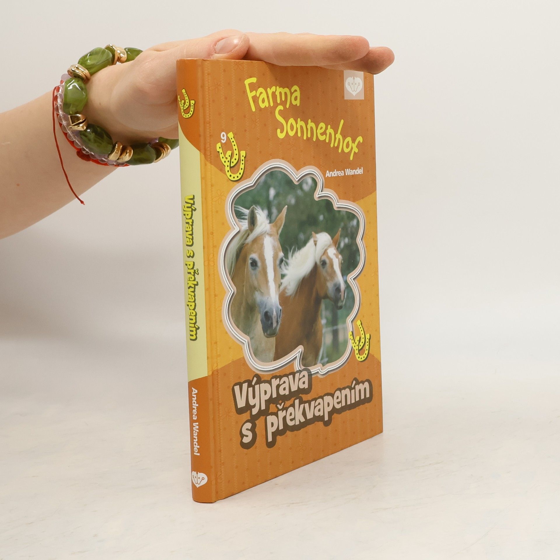 Andrea Wandel Výprava s překvapením