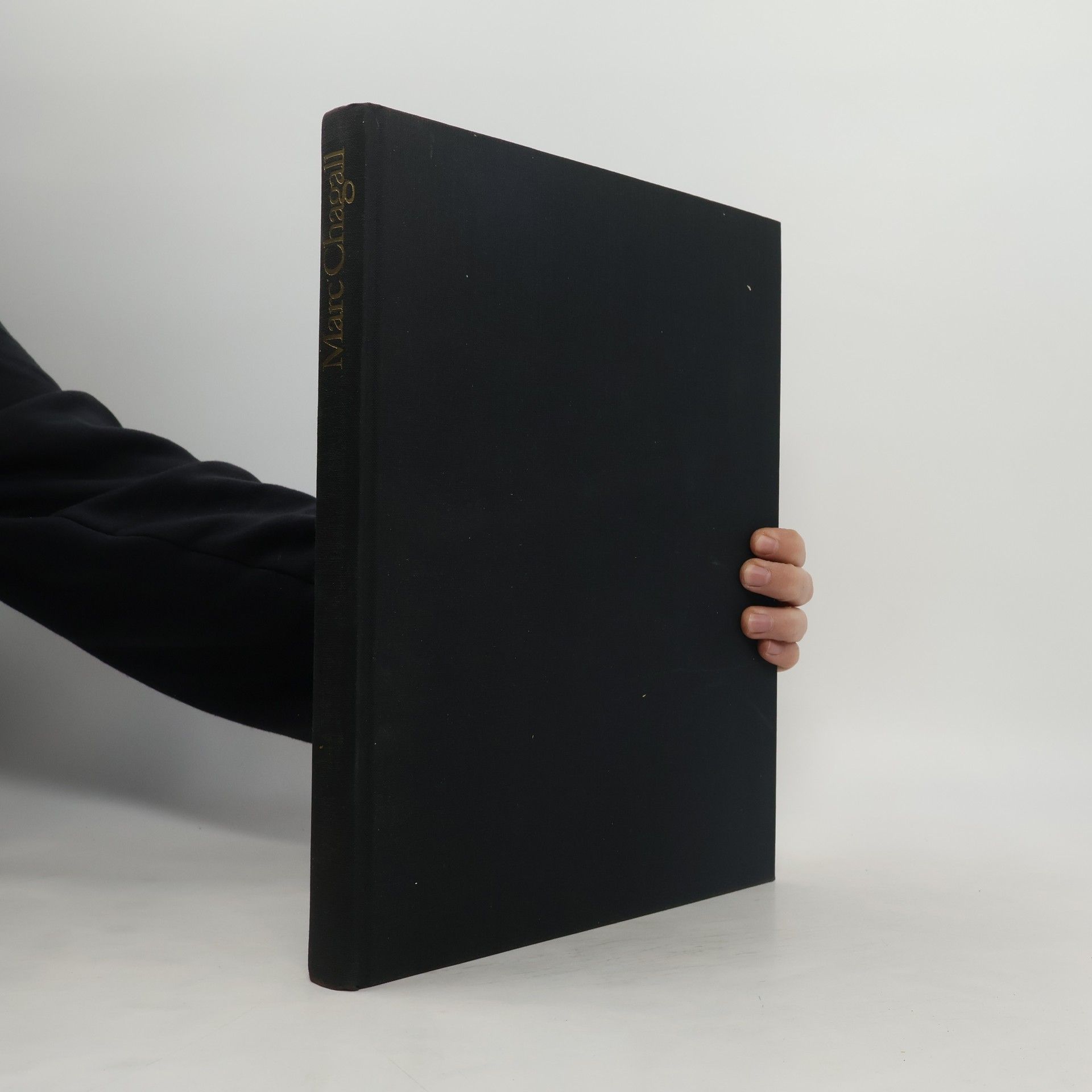 Kolektív autorov Marc Chagall