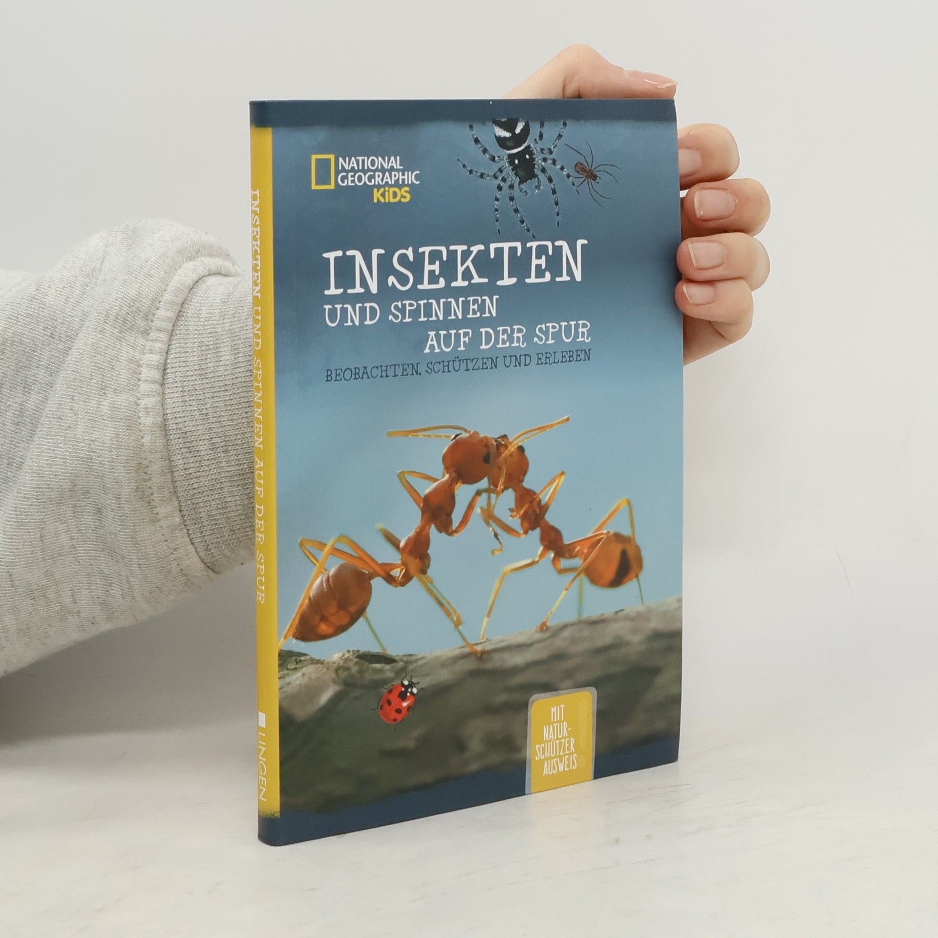 kolektiv Insekten und Spinnen auf der Spur