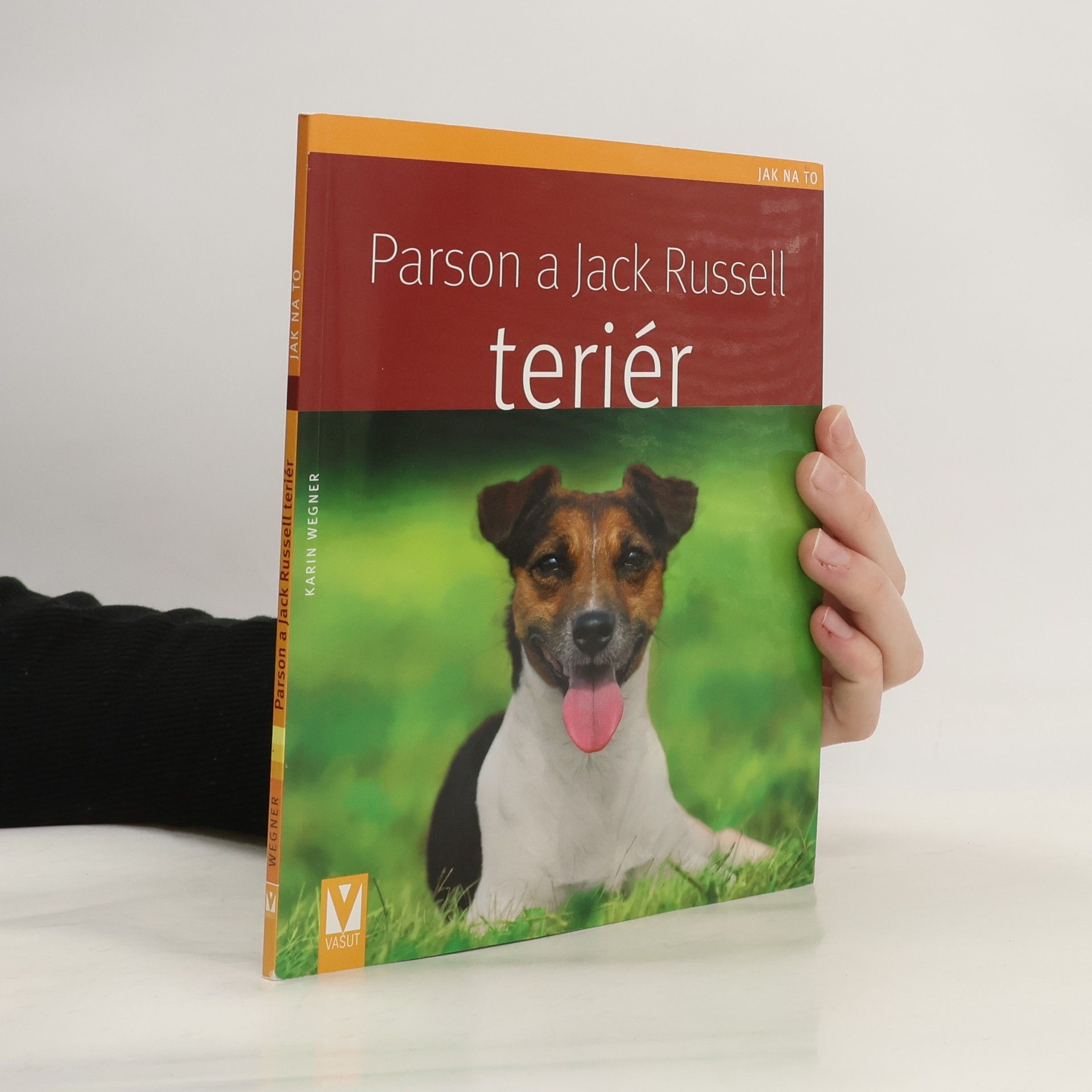 Parson a Jack Russell teriér