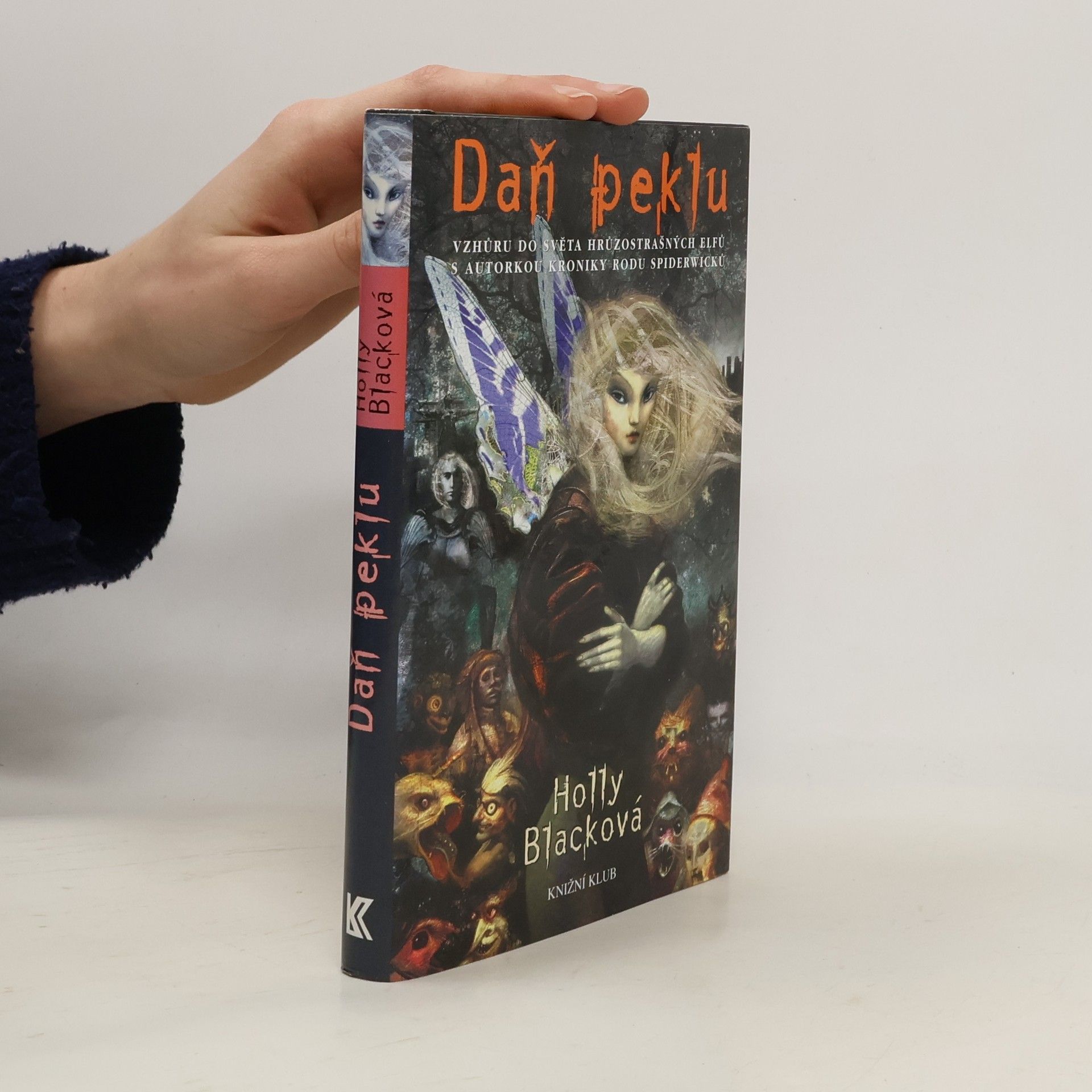 Holly Black Daň peklu