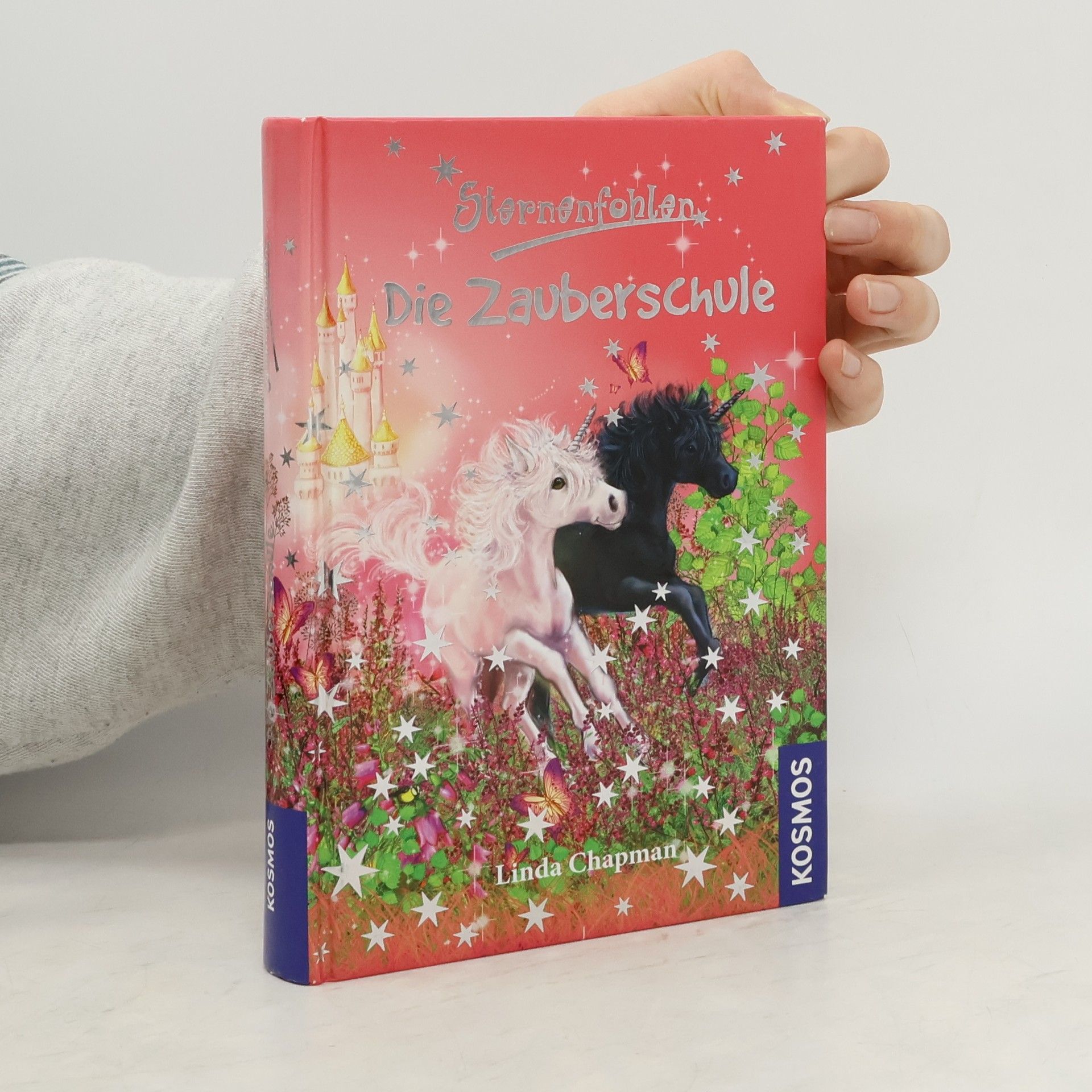 Linda Chapman Sternenfohlen - in der Zauberschule