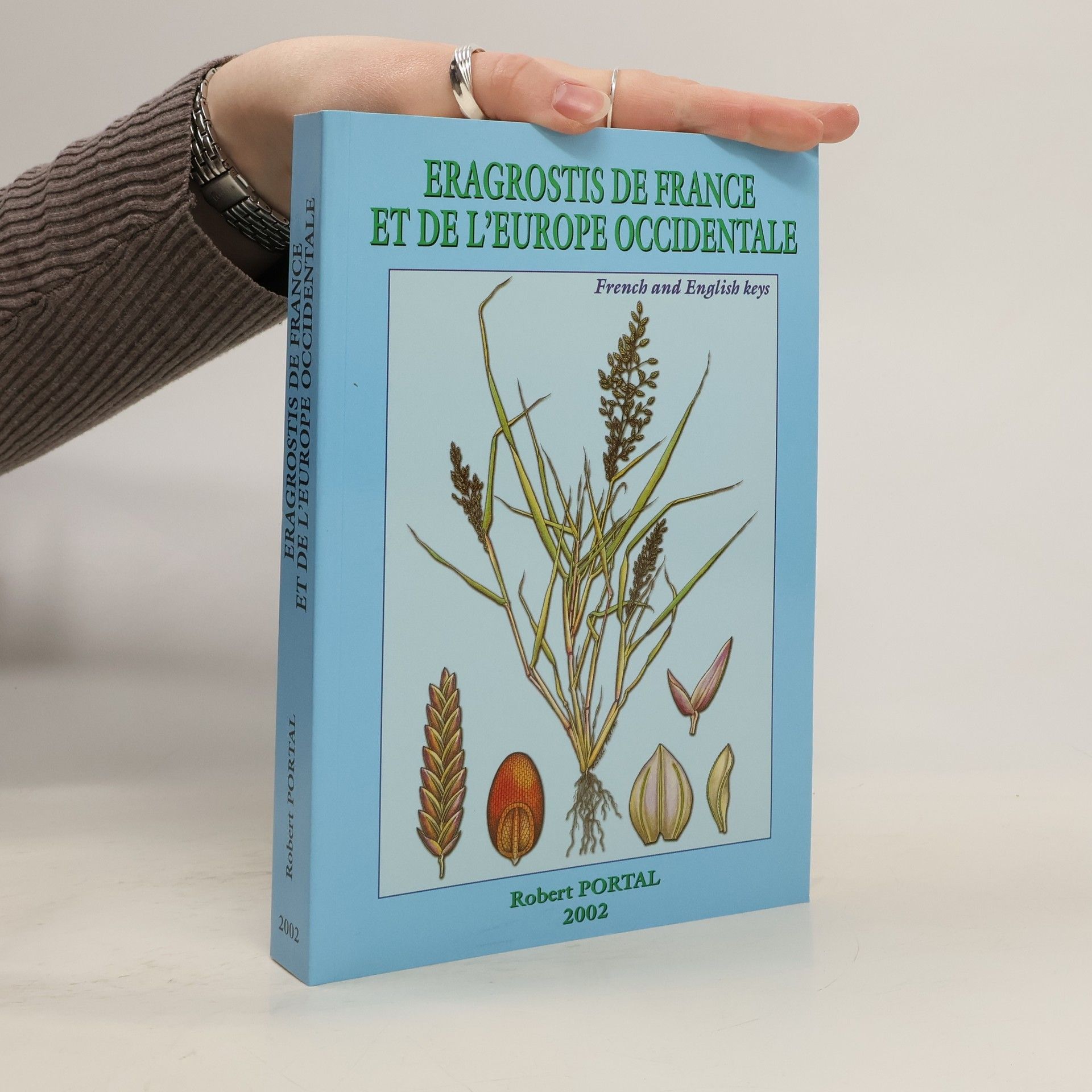 Eragrostis de France et de l'Europe occidentale
