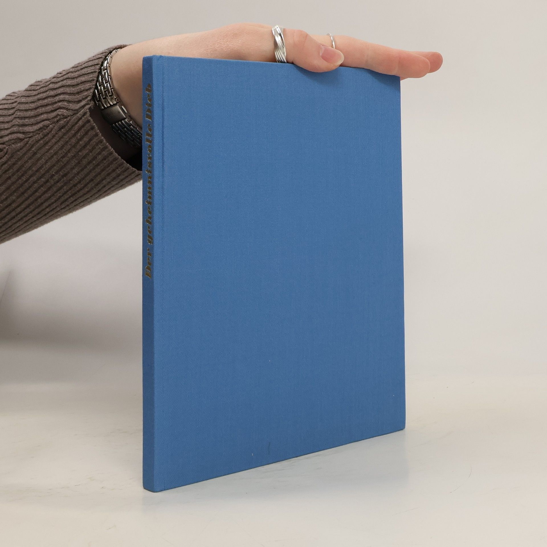 Emmy Garai Der geheimnisvolle Dieb