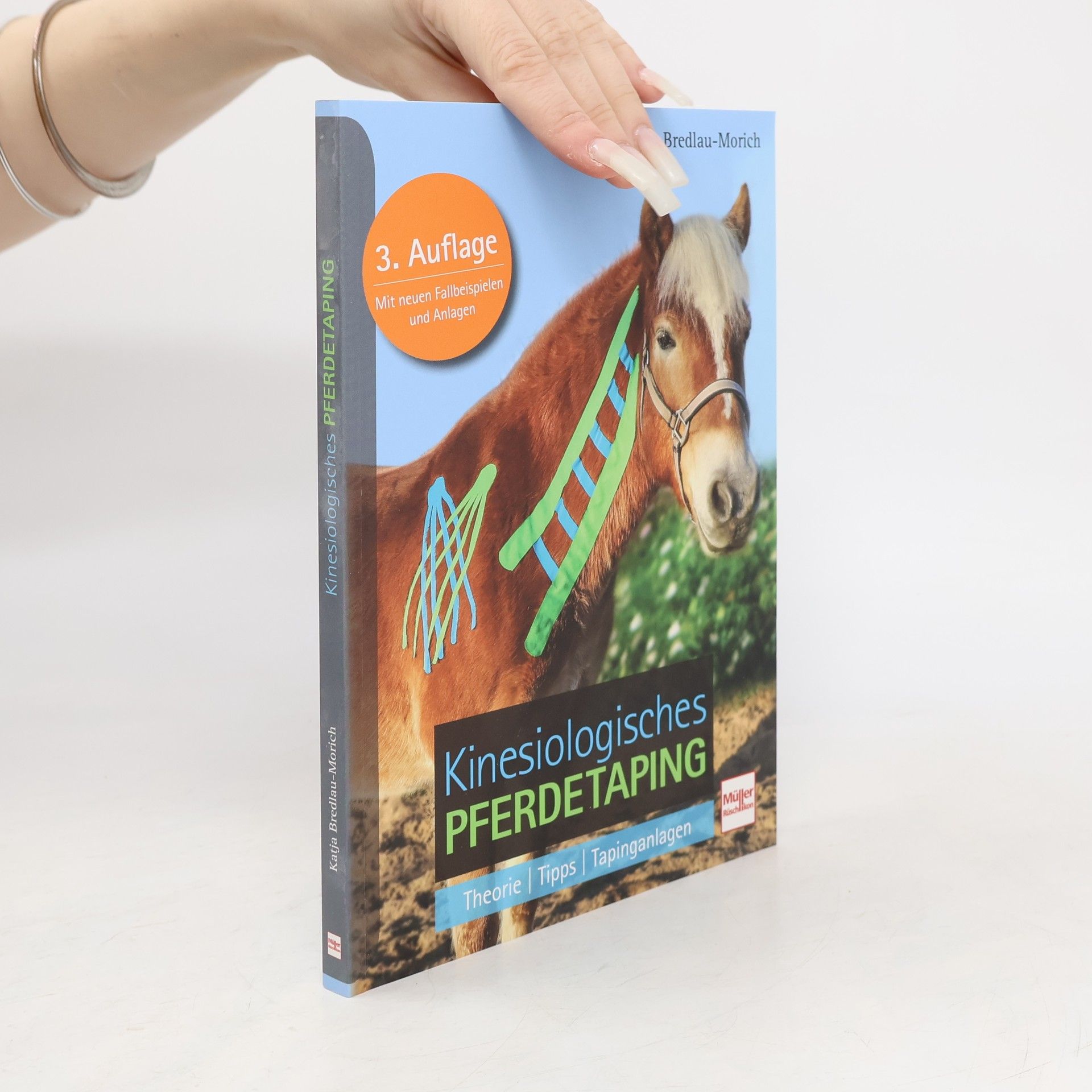 Kinesiologisches Pferdetaping