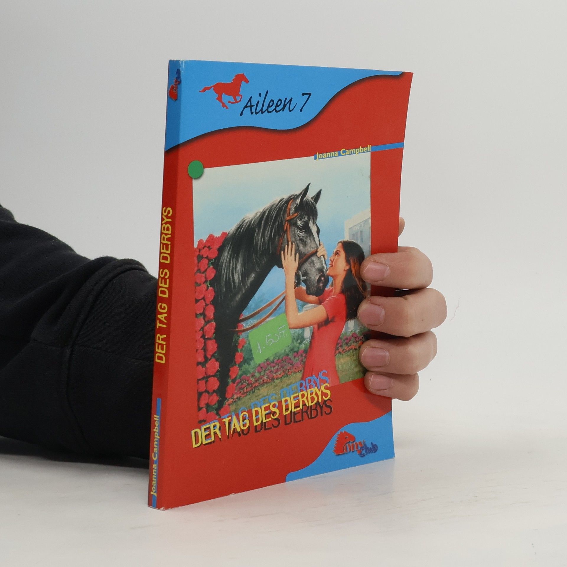 Joanna Campbell Aileen 7. Der Tag des Derbys
