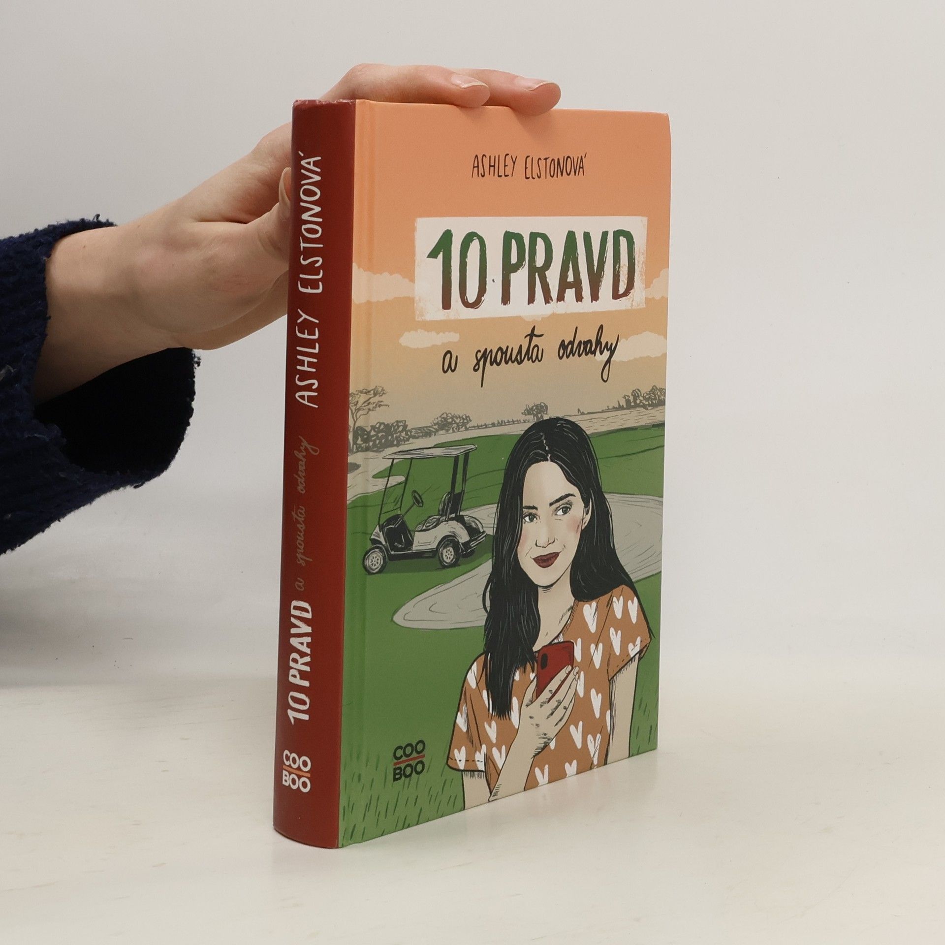 Ashley Elston 10 pravd a spousta odvahy