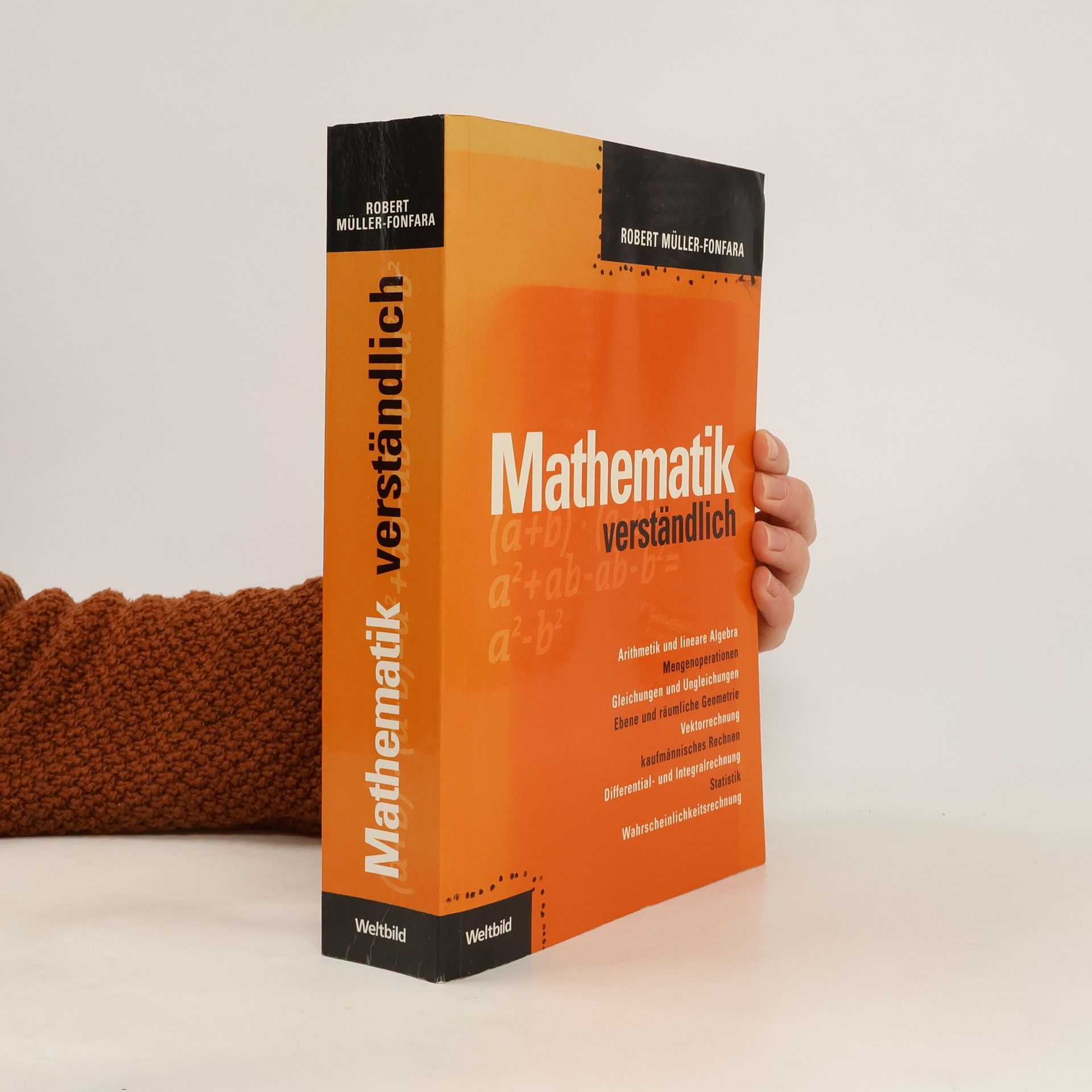 Mathematik verständlich