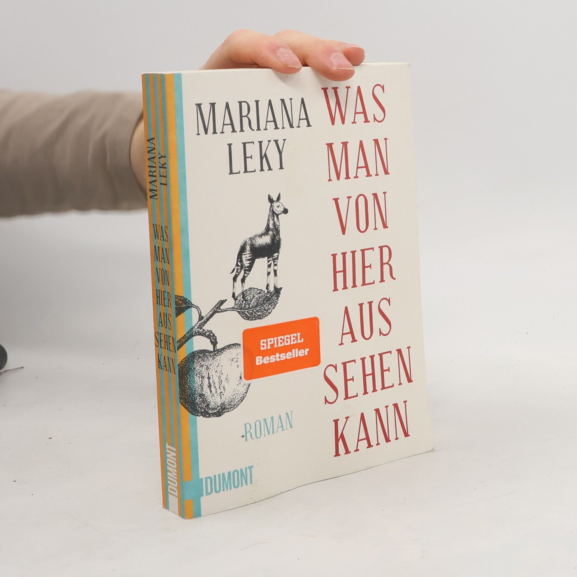 Mariana Leky Was man von hier aus sehen kann