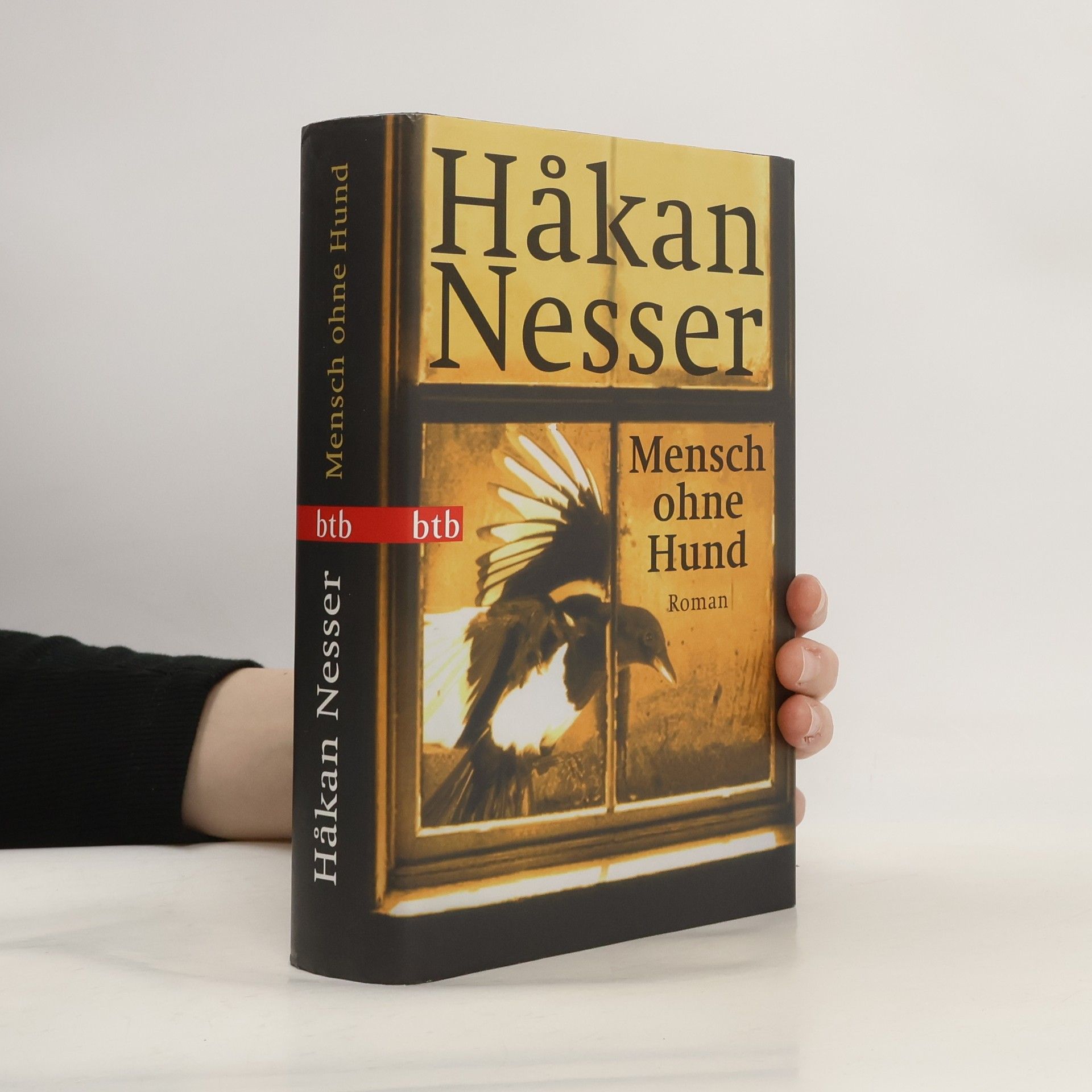 Håkan Nesser Mensch ohne Hund