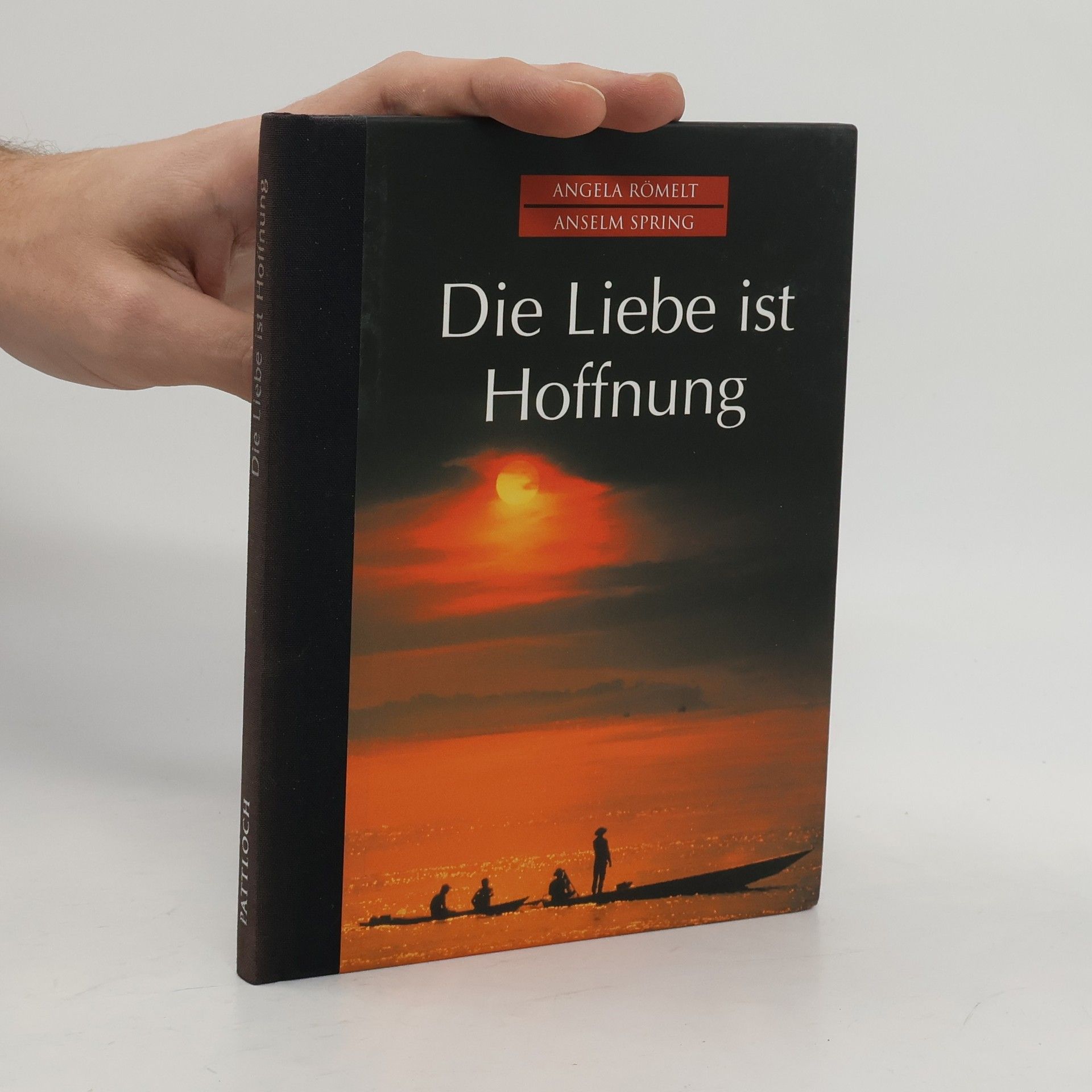 Anselm Spring Die Liebe ist Hoffnung