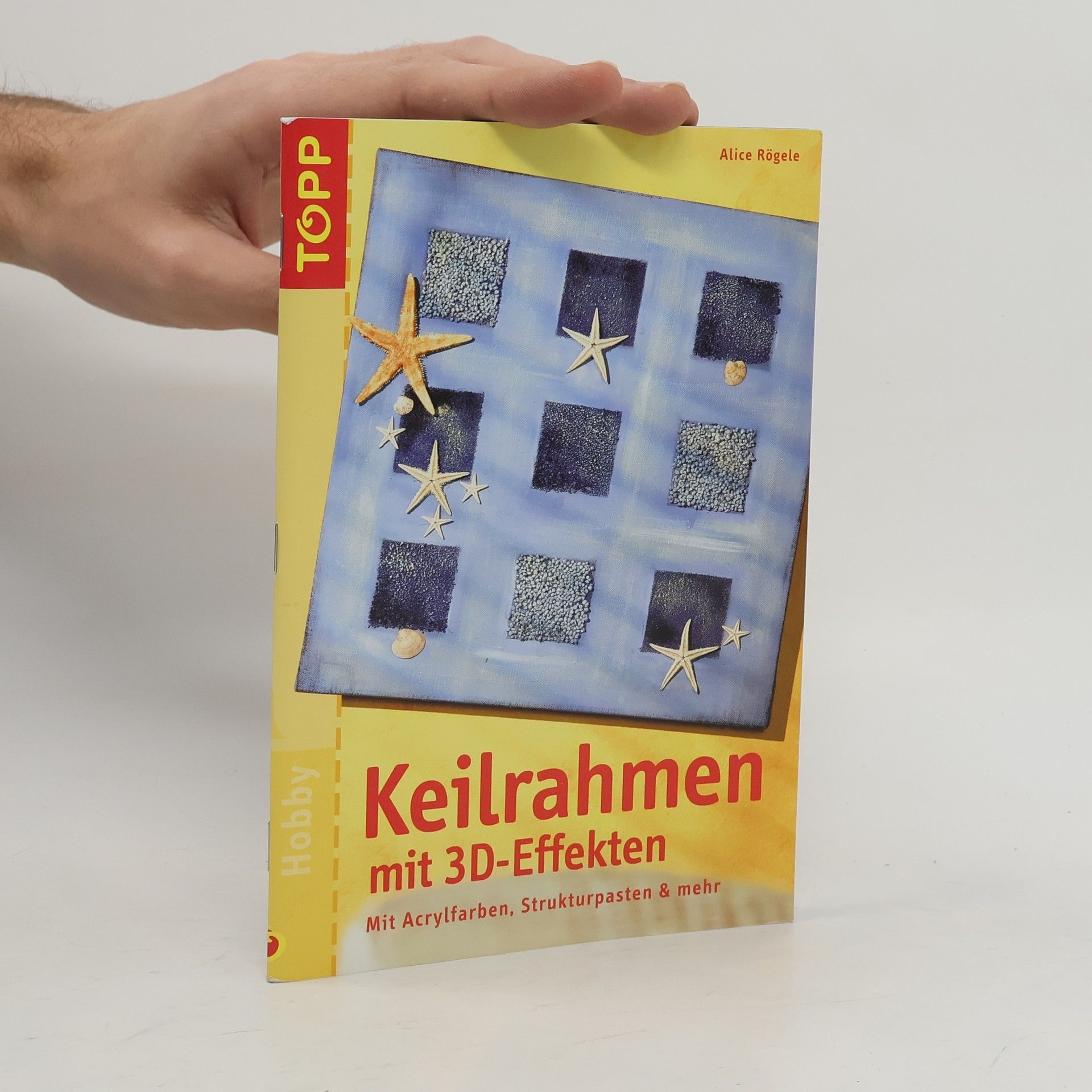Alice Rögele Keilrahmen mit 3D-Effekten