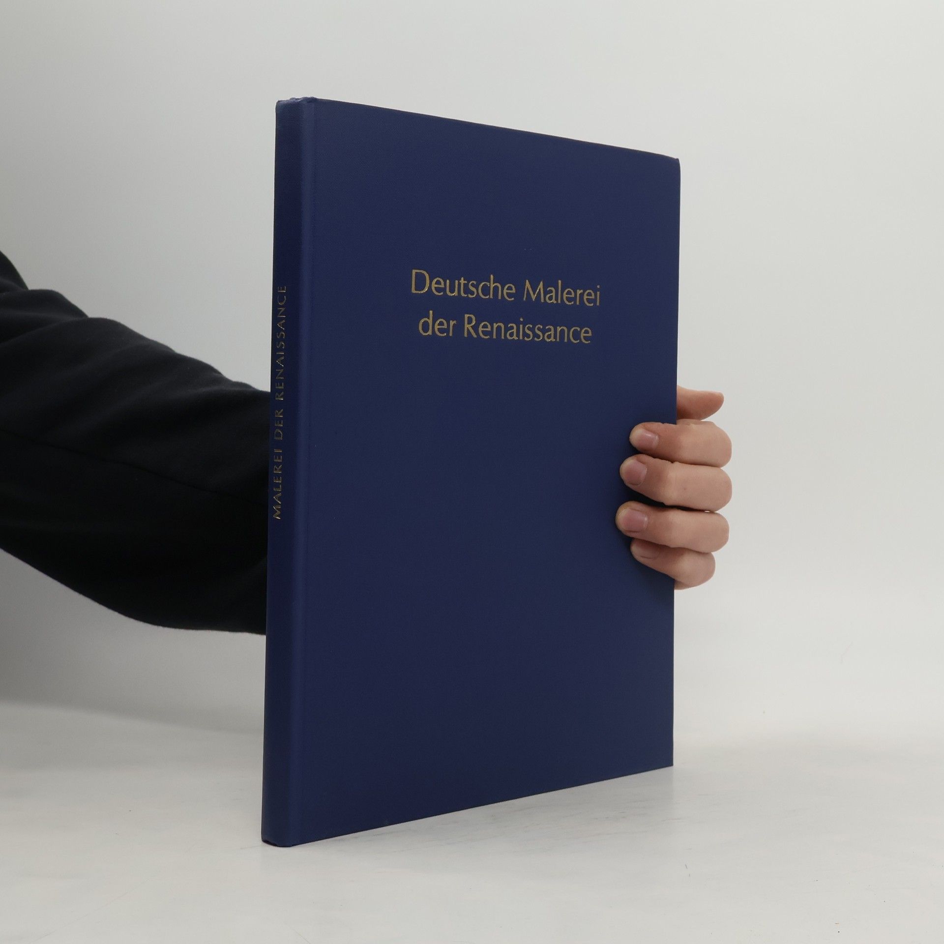 Peter Strieder Deutsche Malerei der Renaissance