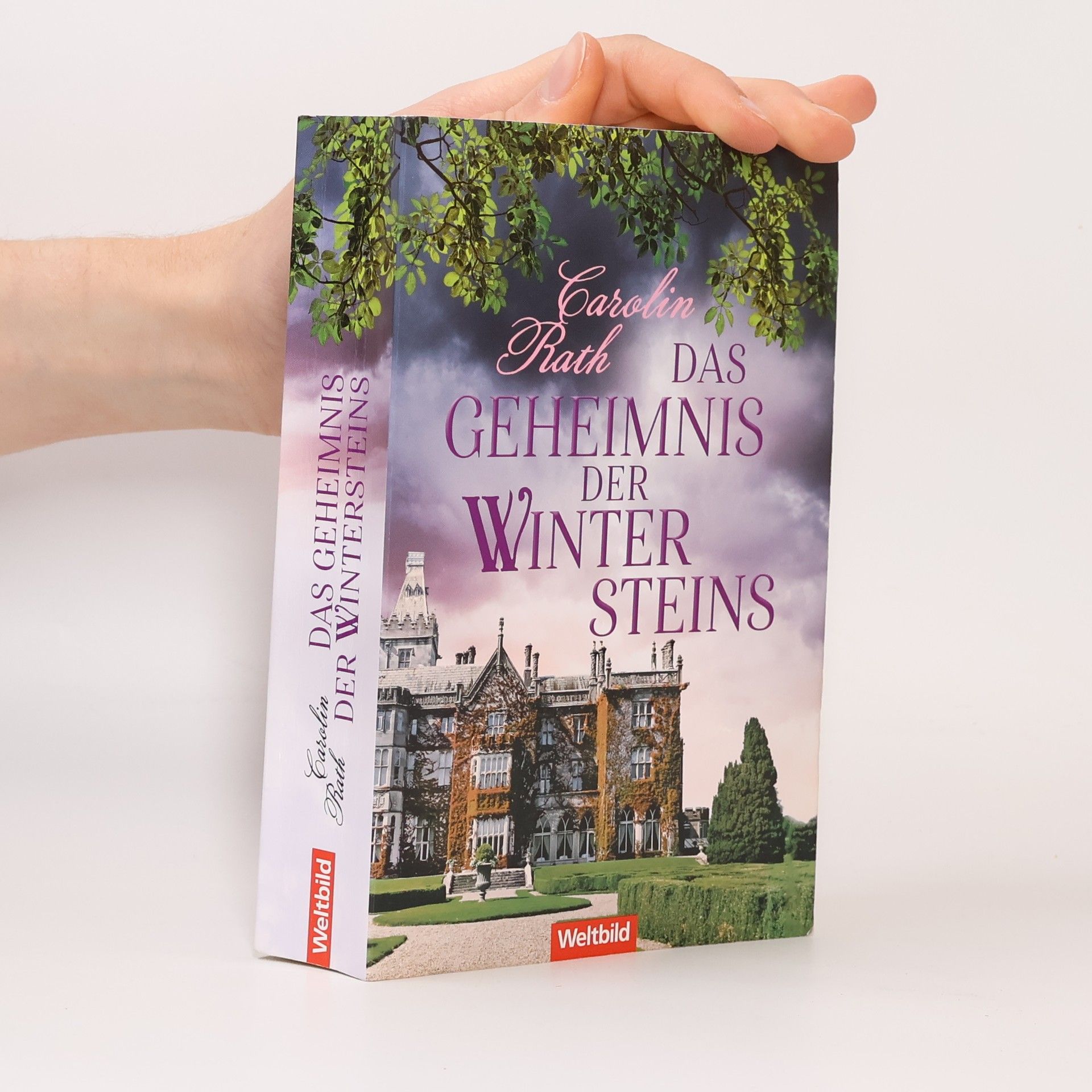 Das Geheimnis der Wintersteins