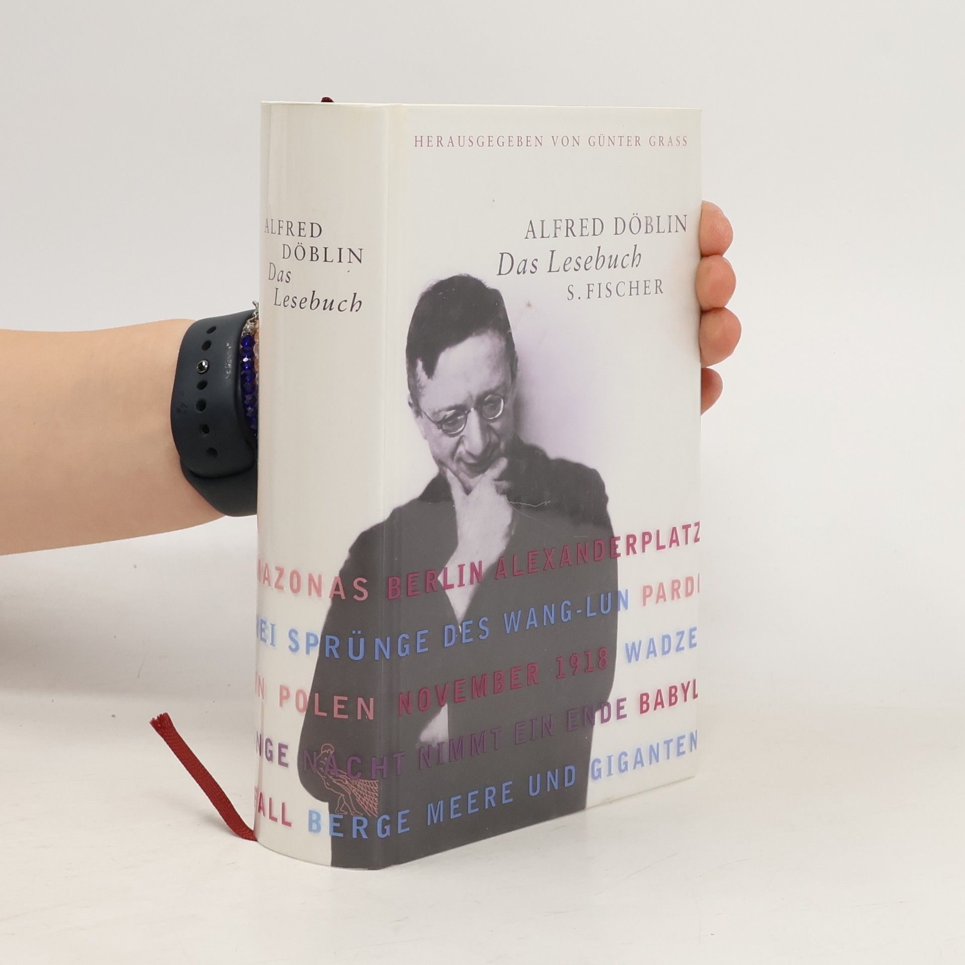 Alfred Döblin Das Lesebuch