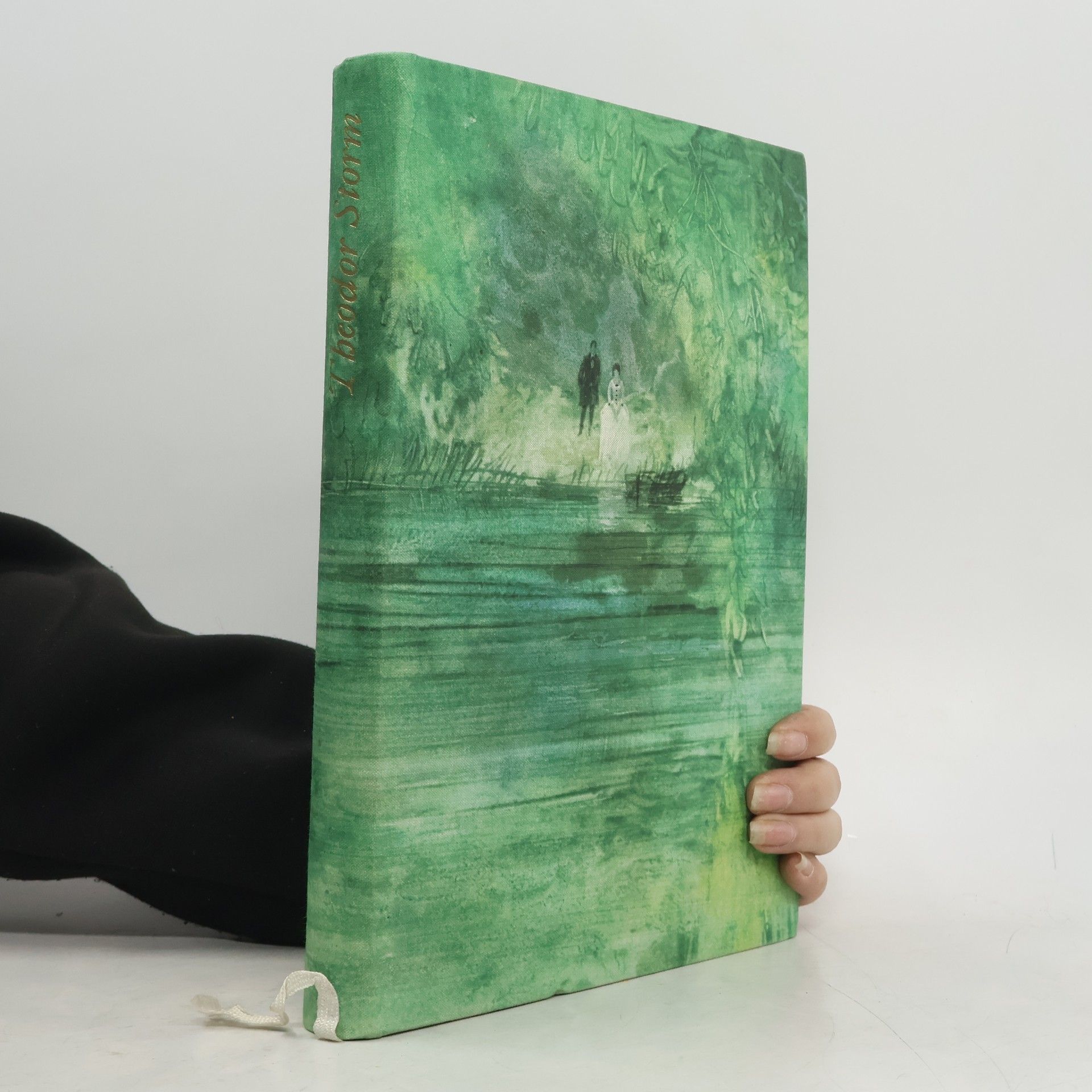 Theodor Storm Die Novellen