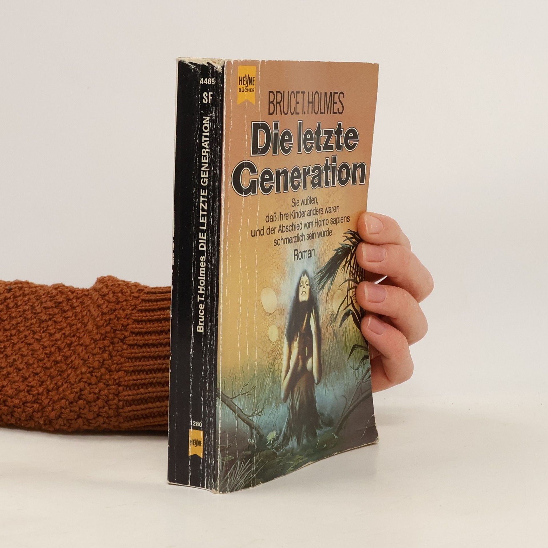 Im Luftschiff über Länder und Meere