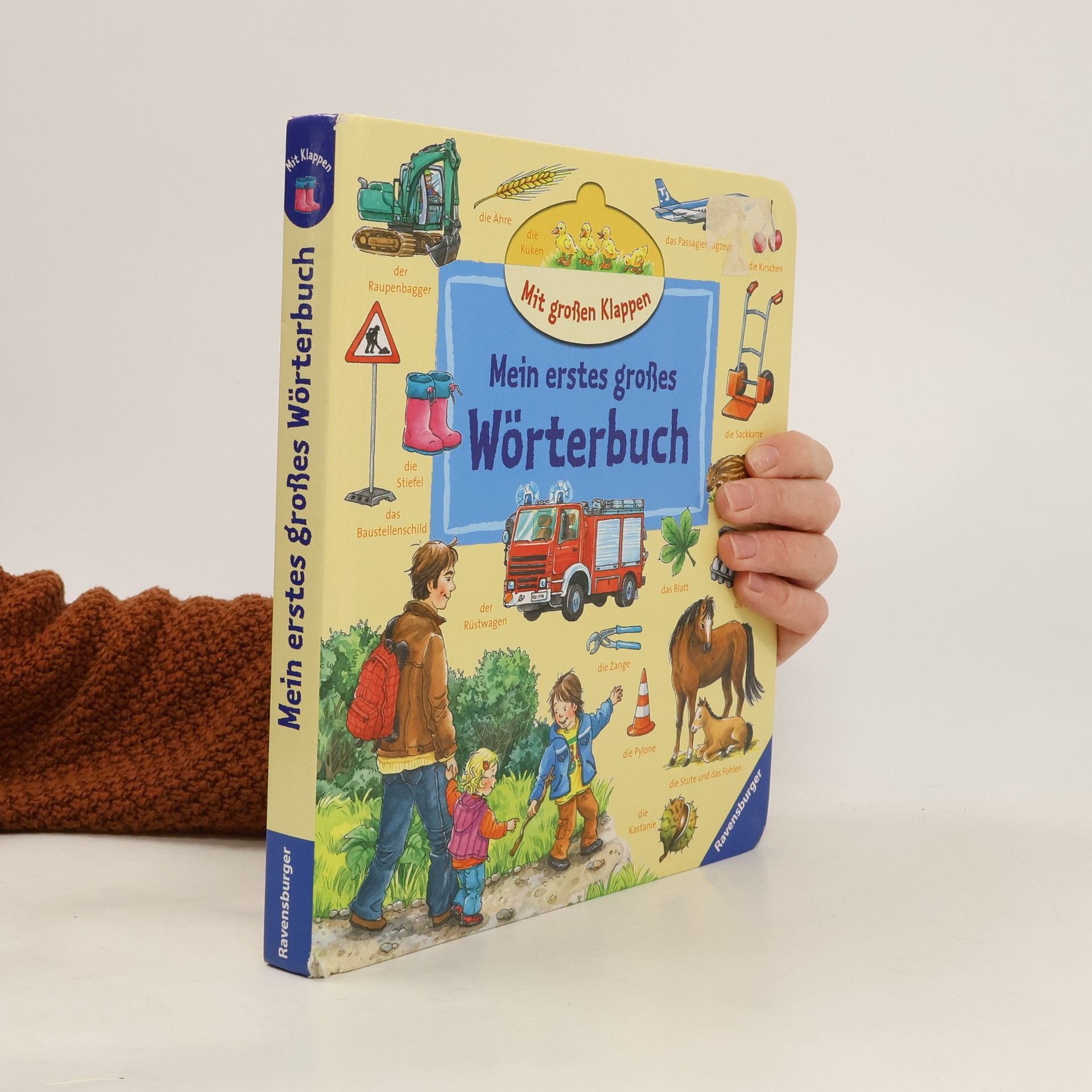 Marion Kreimeyer-Visse Mein erstes großes Wörterbuch