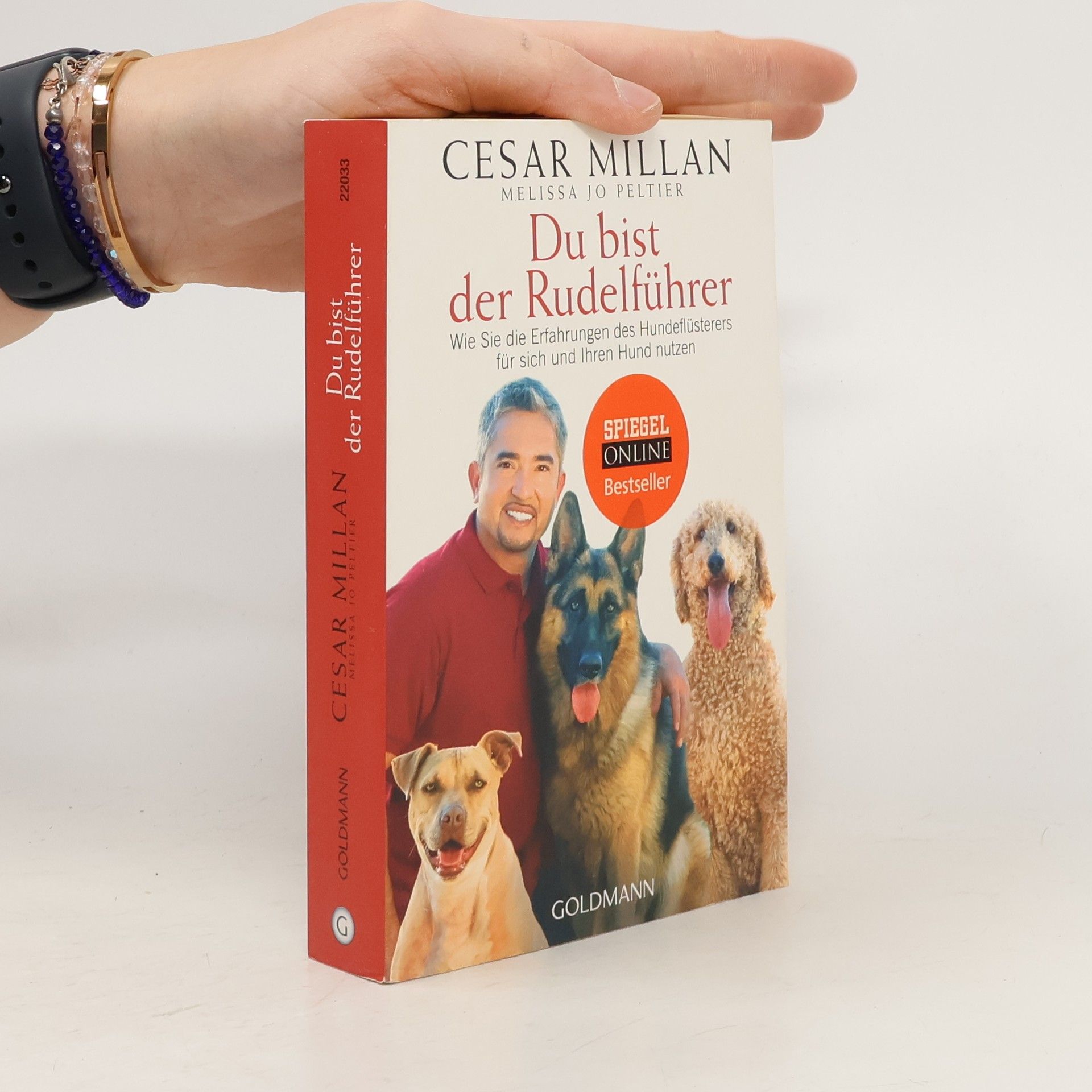 Cesar Millan Du bist der Rudelführer