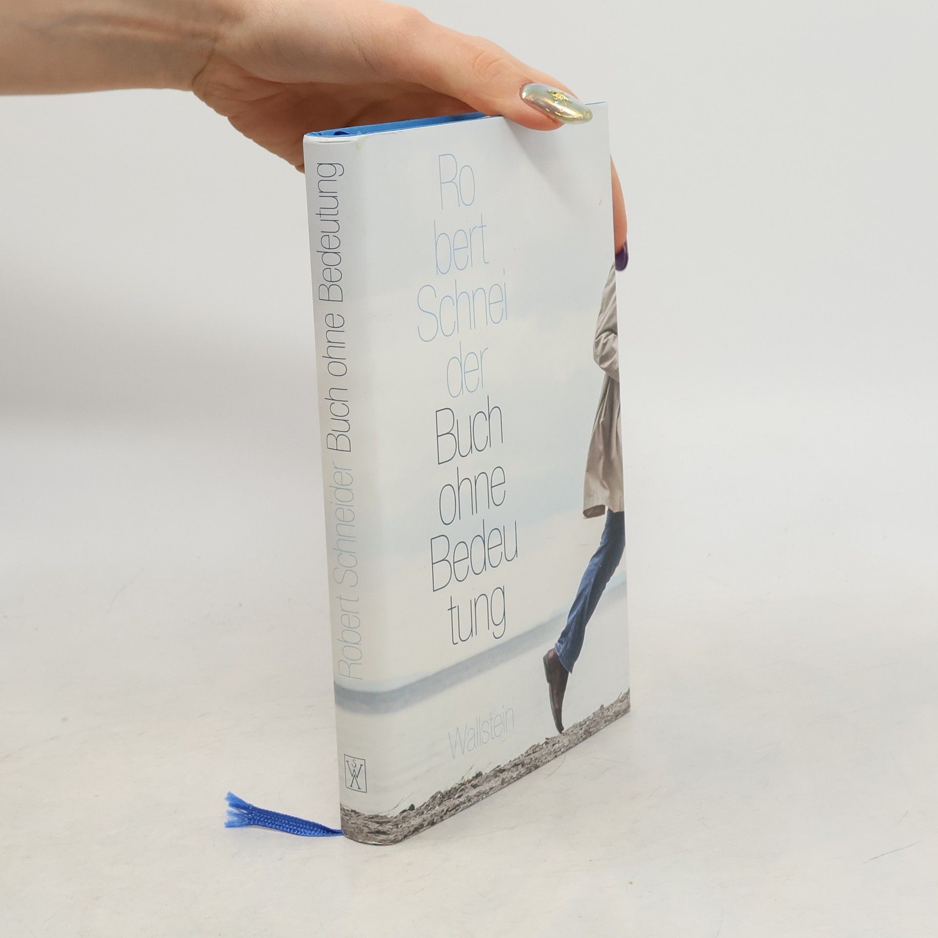 Robert Schneider Buch ohne Bedeutung