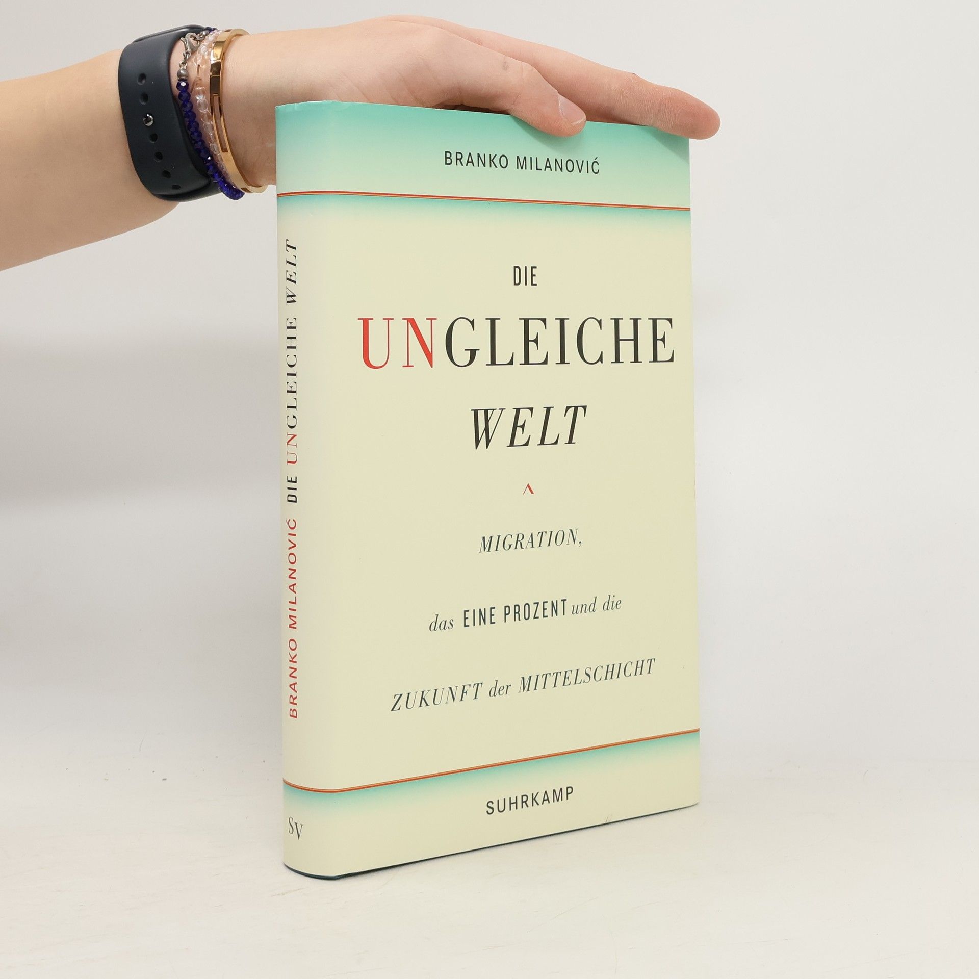 Branko Milanović Die ungleiche Welt