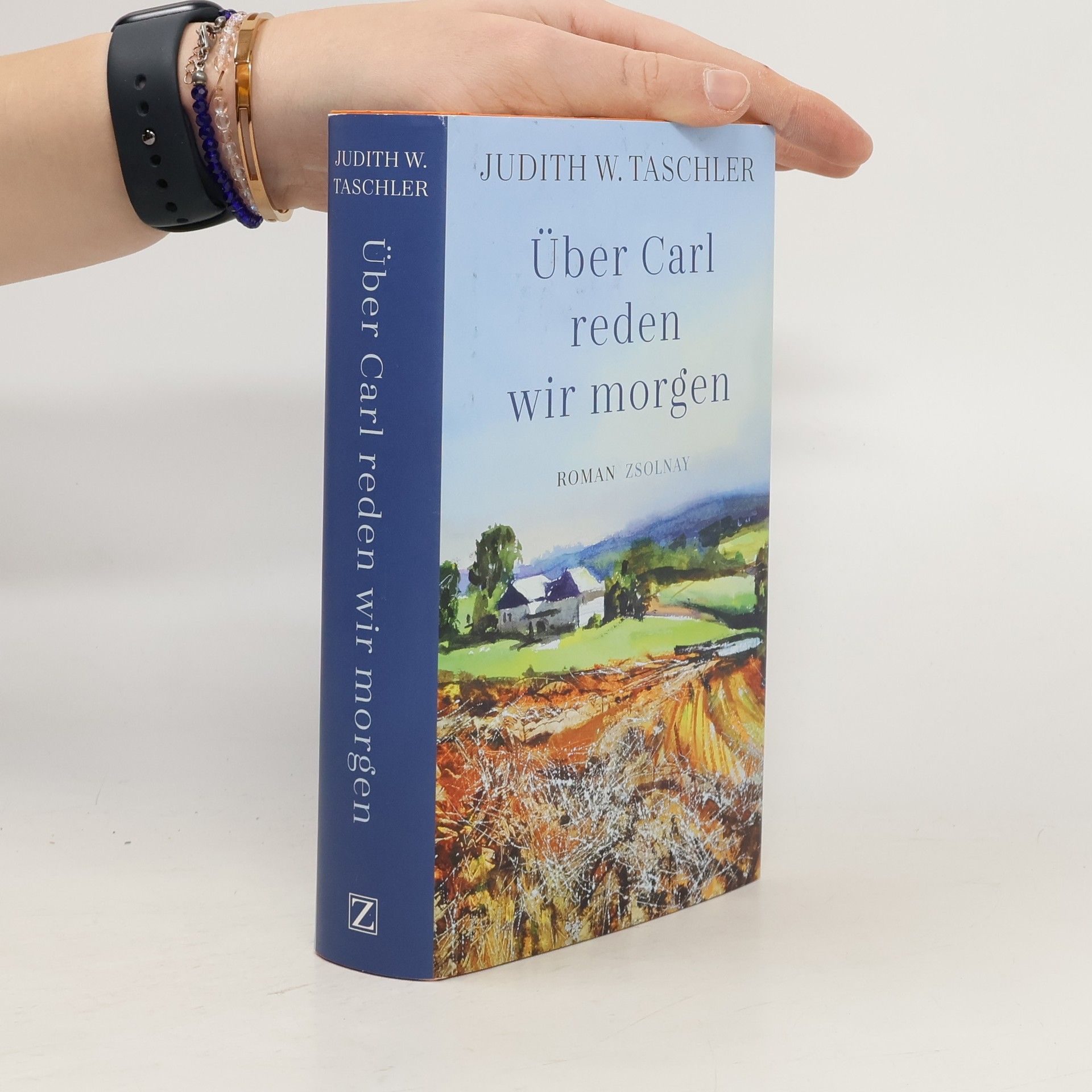 Judith W Taschler Über Carl reden wir morgen