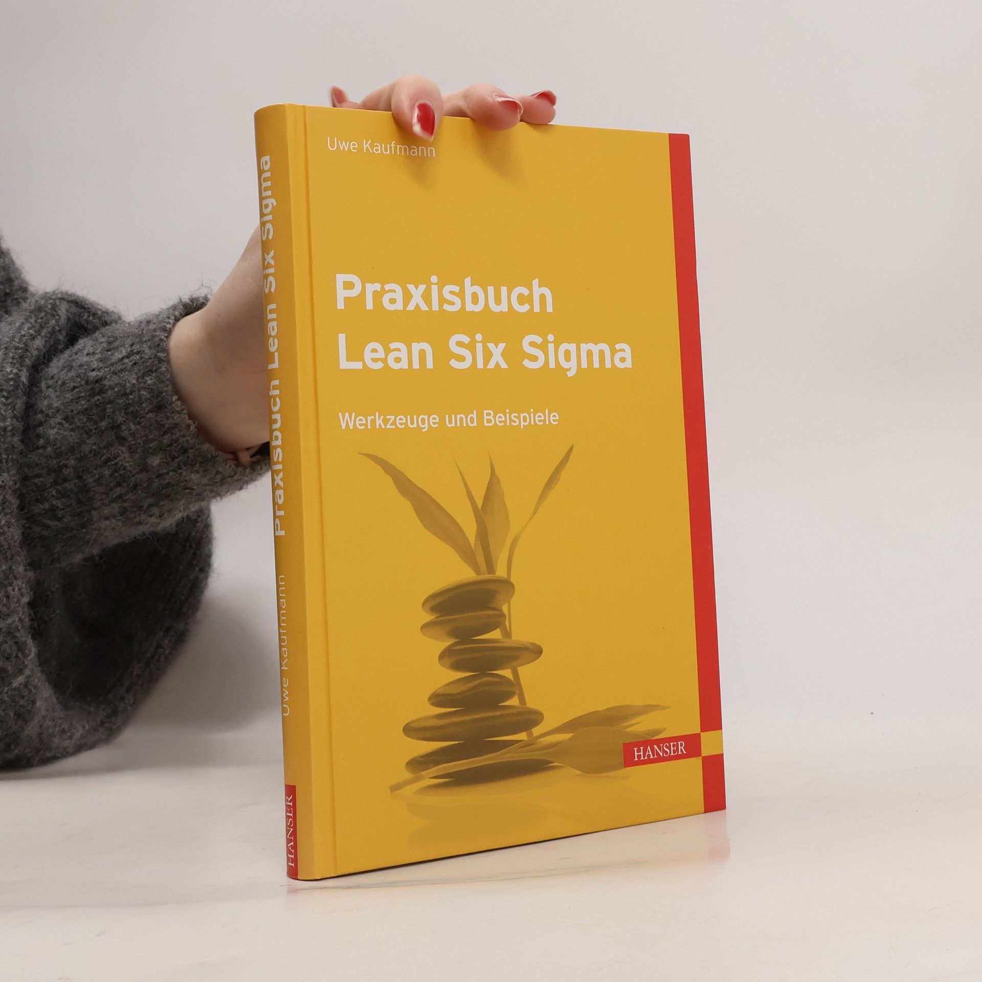 Uwe H. Kaufmann Praxisbuch Lean Six Sigma
