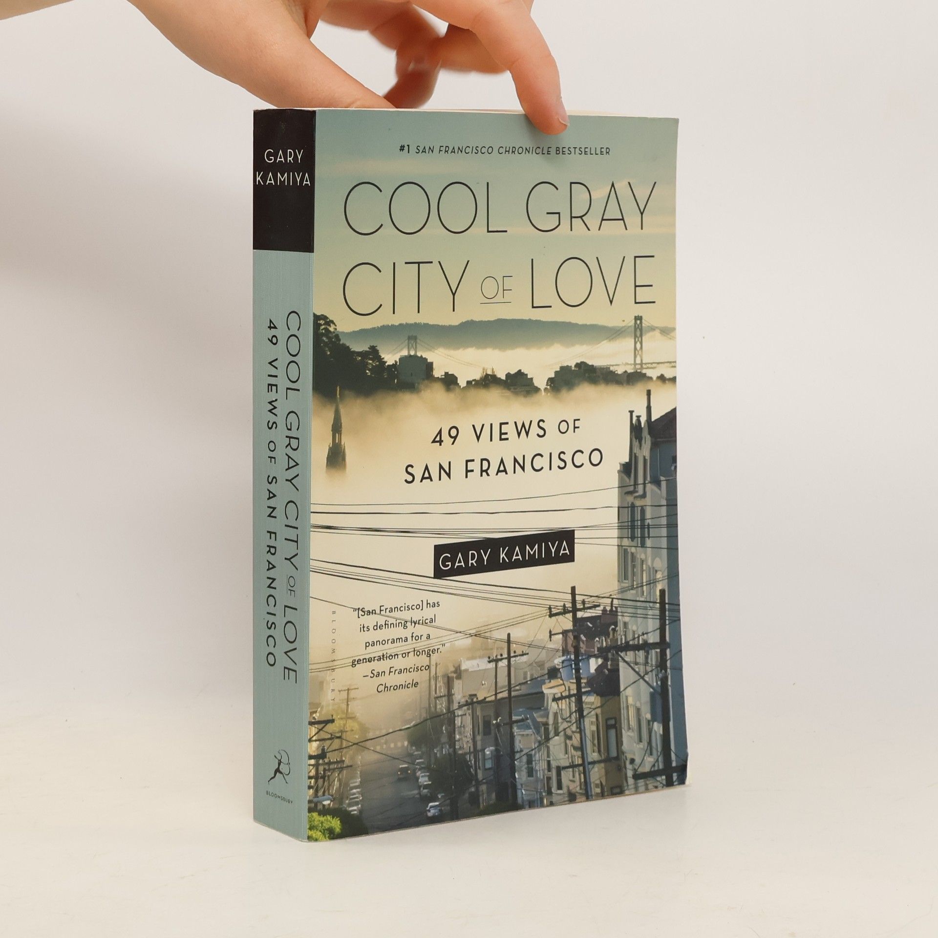 Gary Kamiya Cool Gray City of Love
