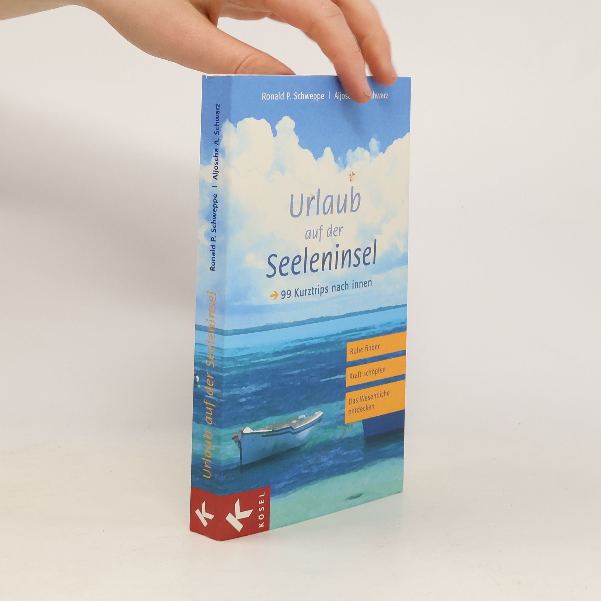 Ronald P. Schweppe Urlaub auf der Seeleninsel