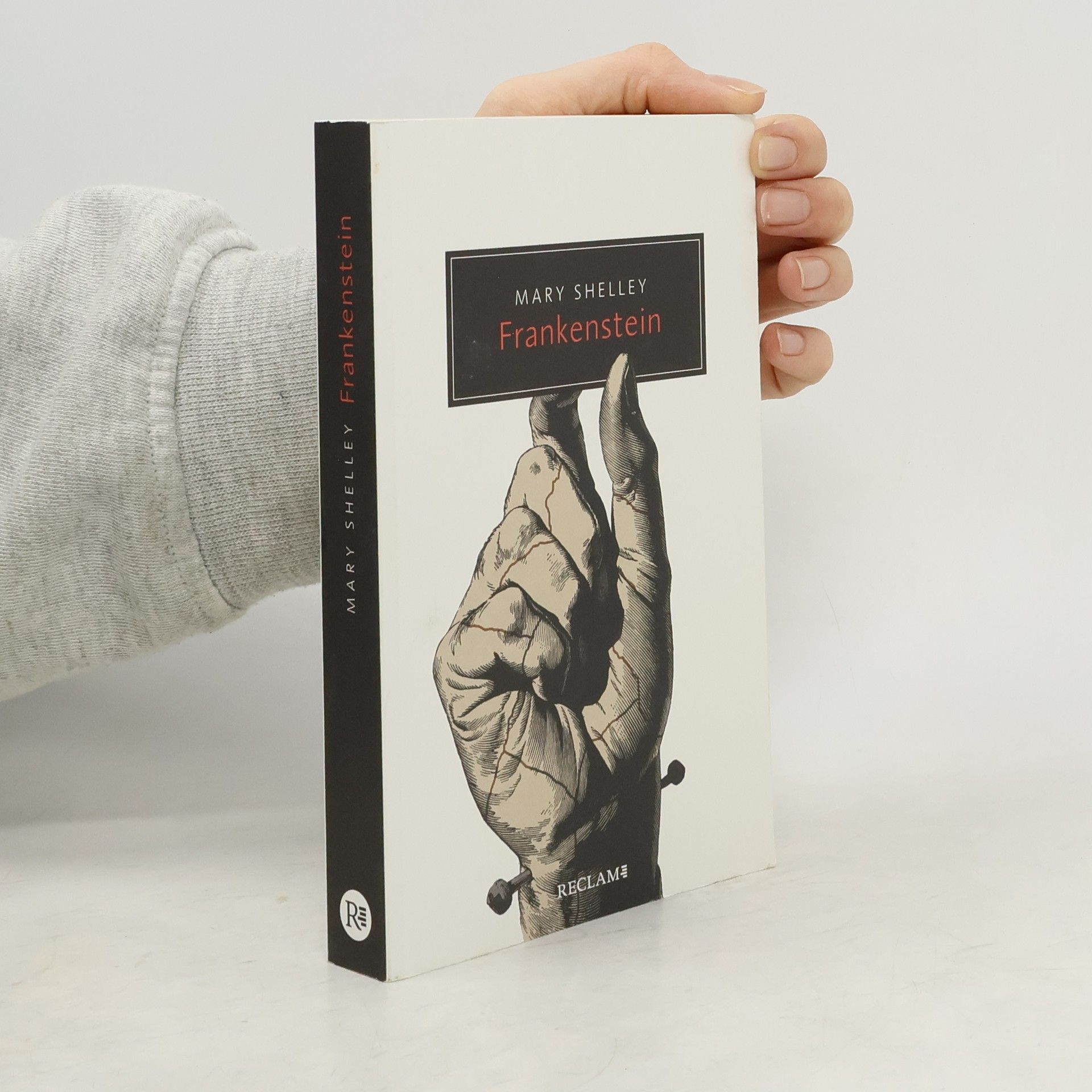 Mary Shelley Frankenstein oder Der moderne Prometheus