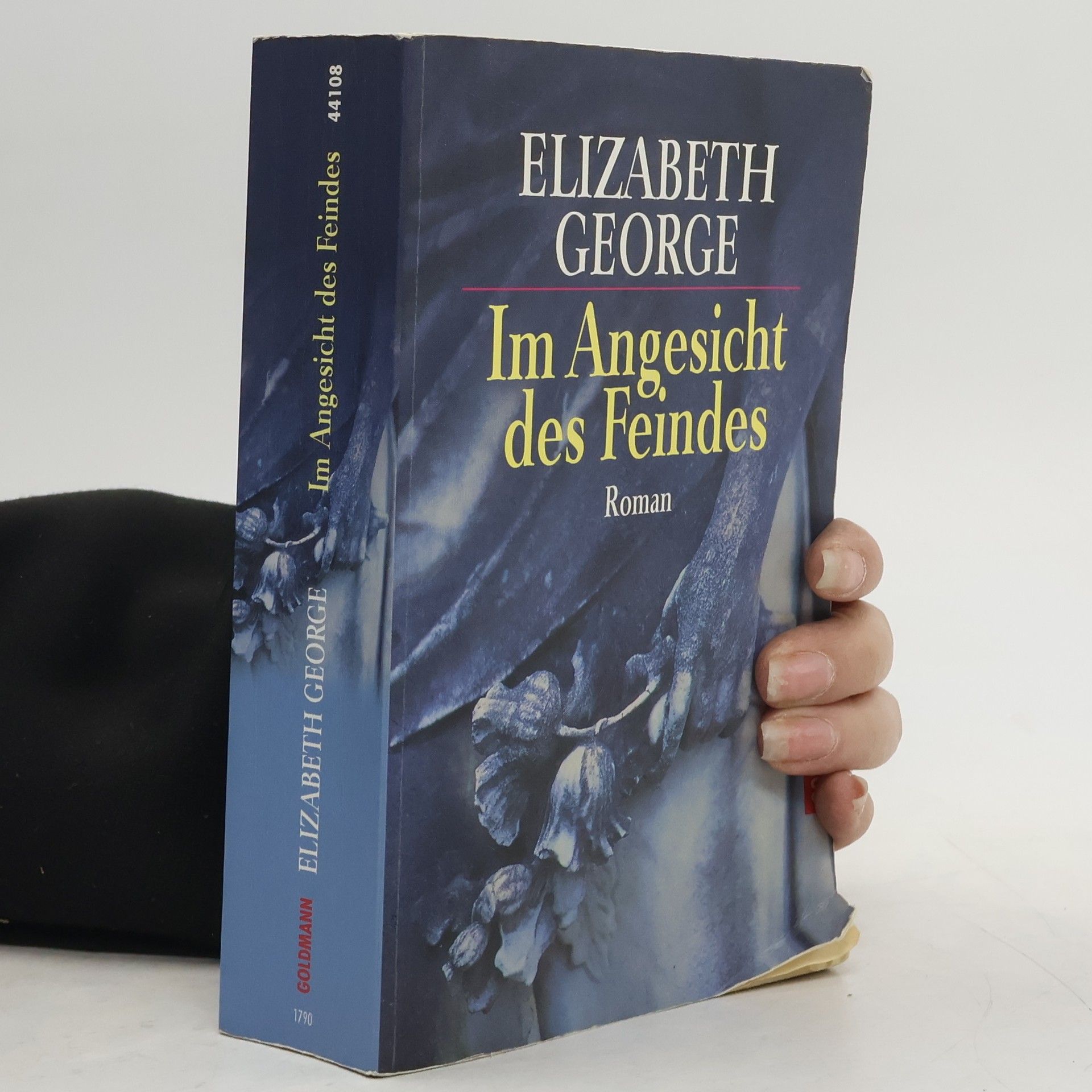 Elizabeth George Im Angesicht des Feindes