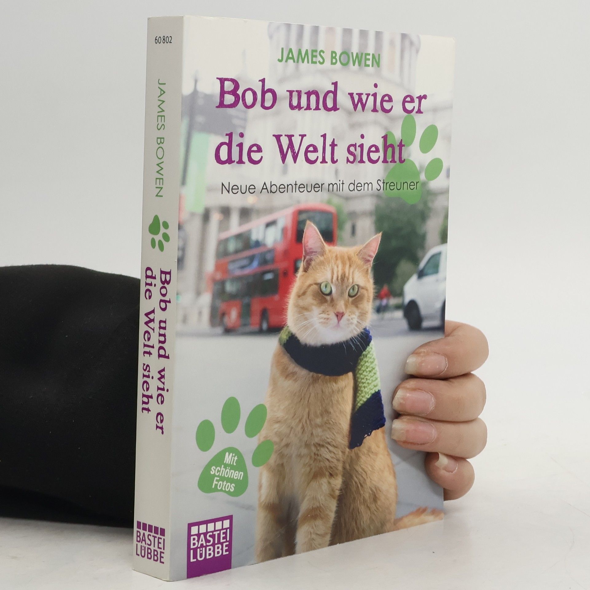 Bob und wie er die Welt sieht