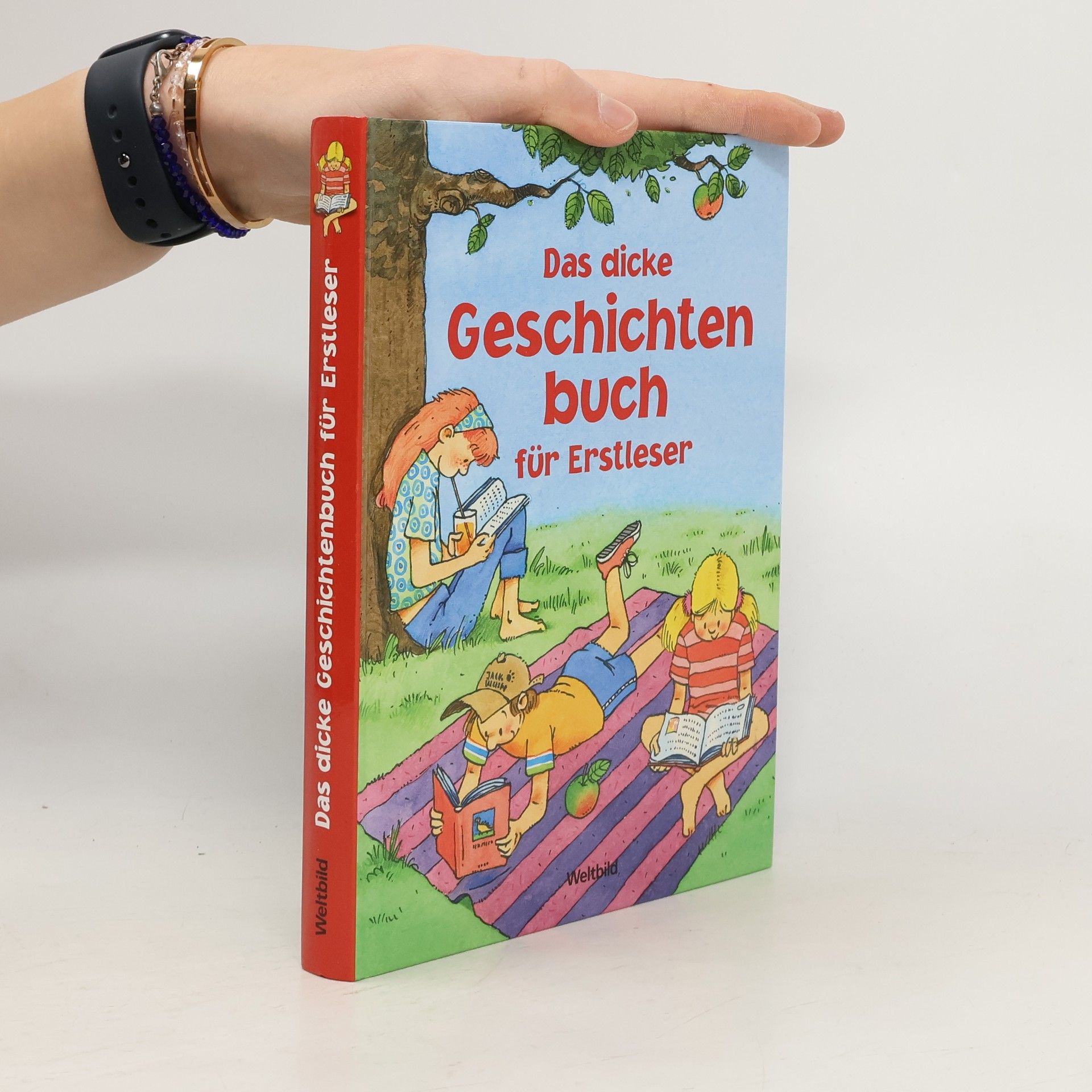 Autorenkollektiv Das dicke Geschichtenbuch für Erstleser