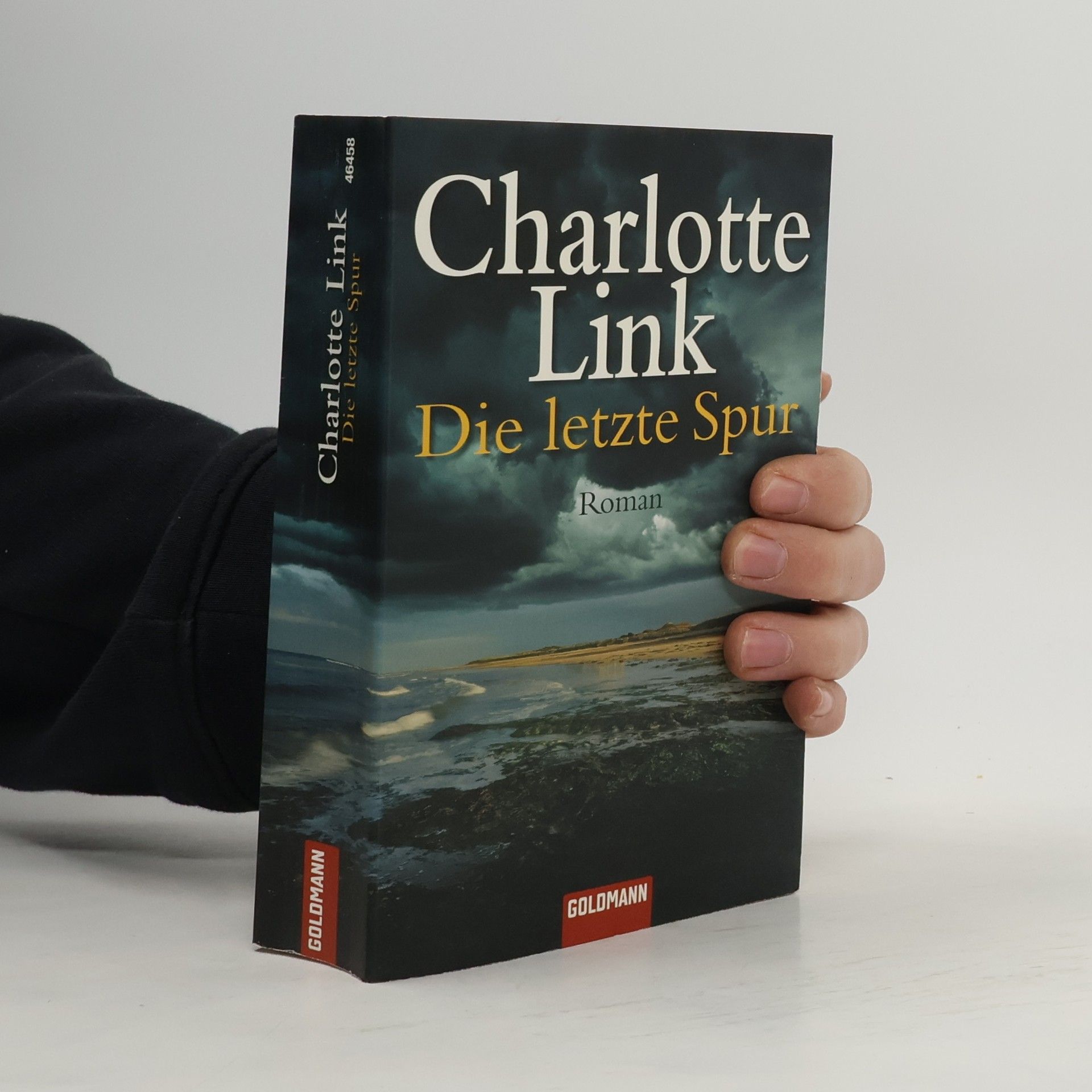 Charlotte Link Die letzte Spur