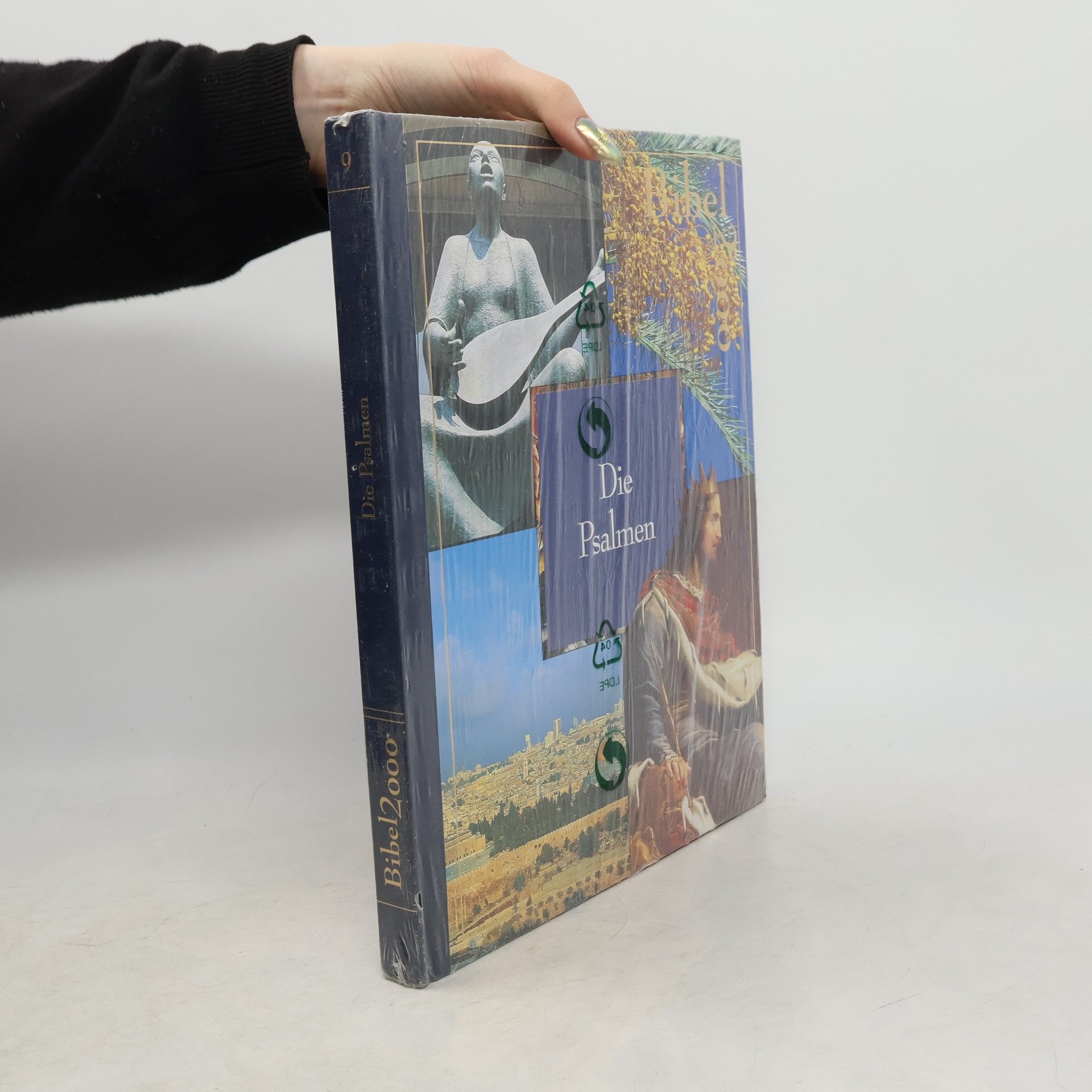 Auteurscollectief Bibel 2000. Band 9. Die Psalmen