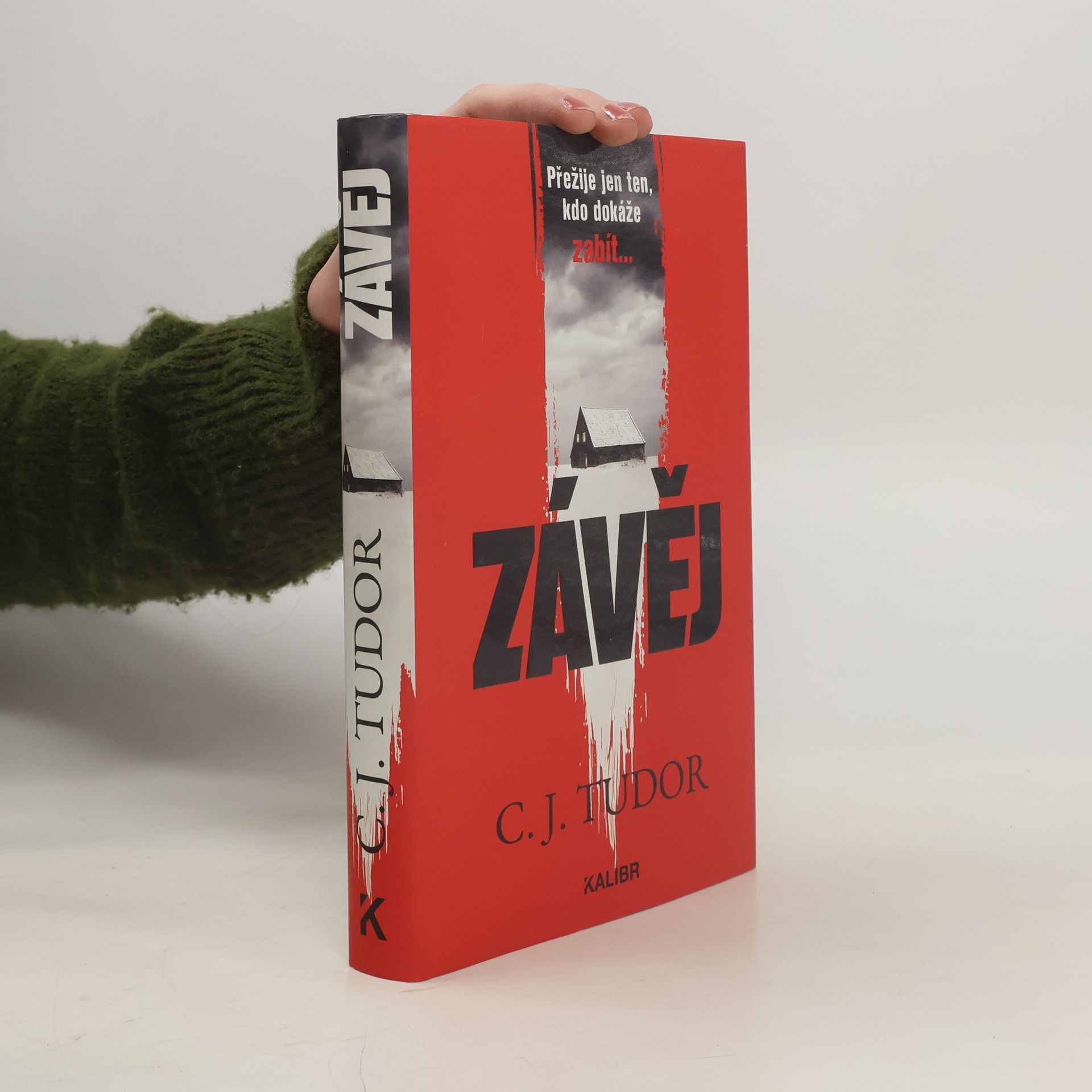 Jana Kunová Závěj