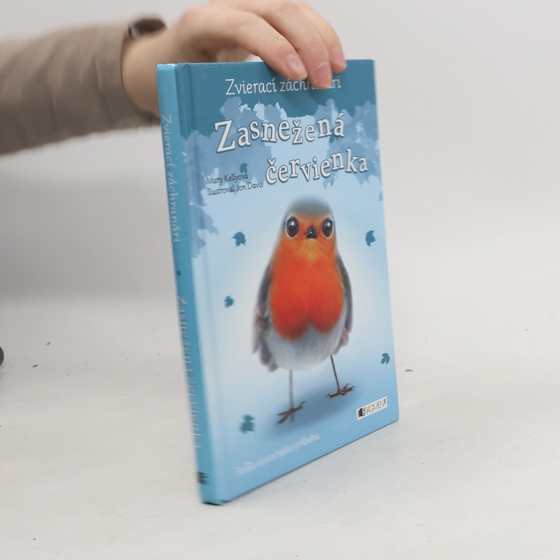 Mary Kelly Zasnežená červienka