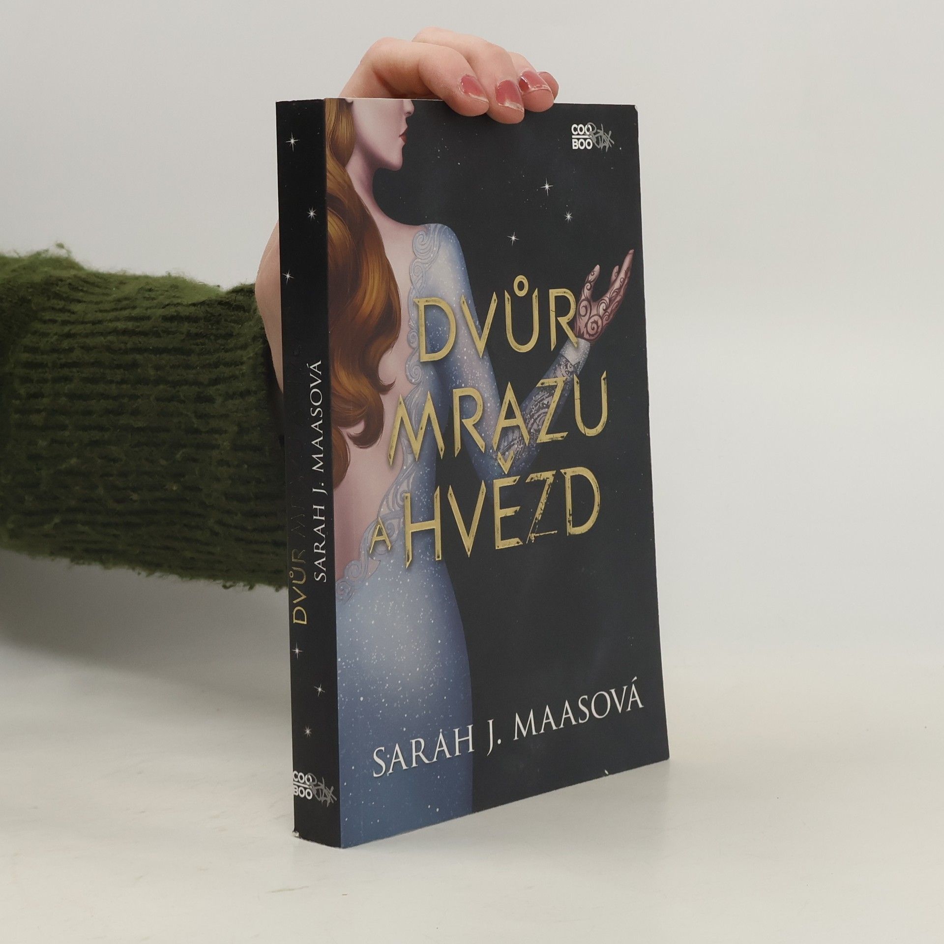 Sarah J. Maas Dvůr mrazu a hvězd