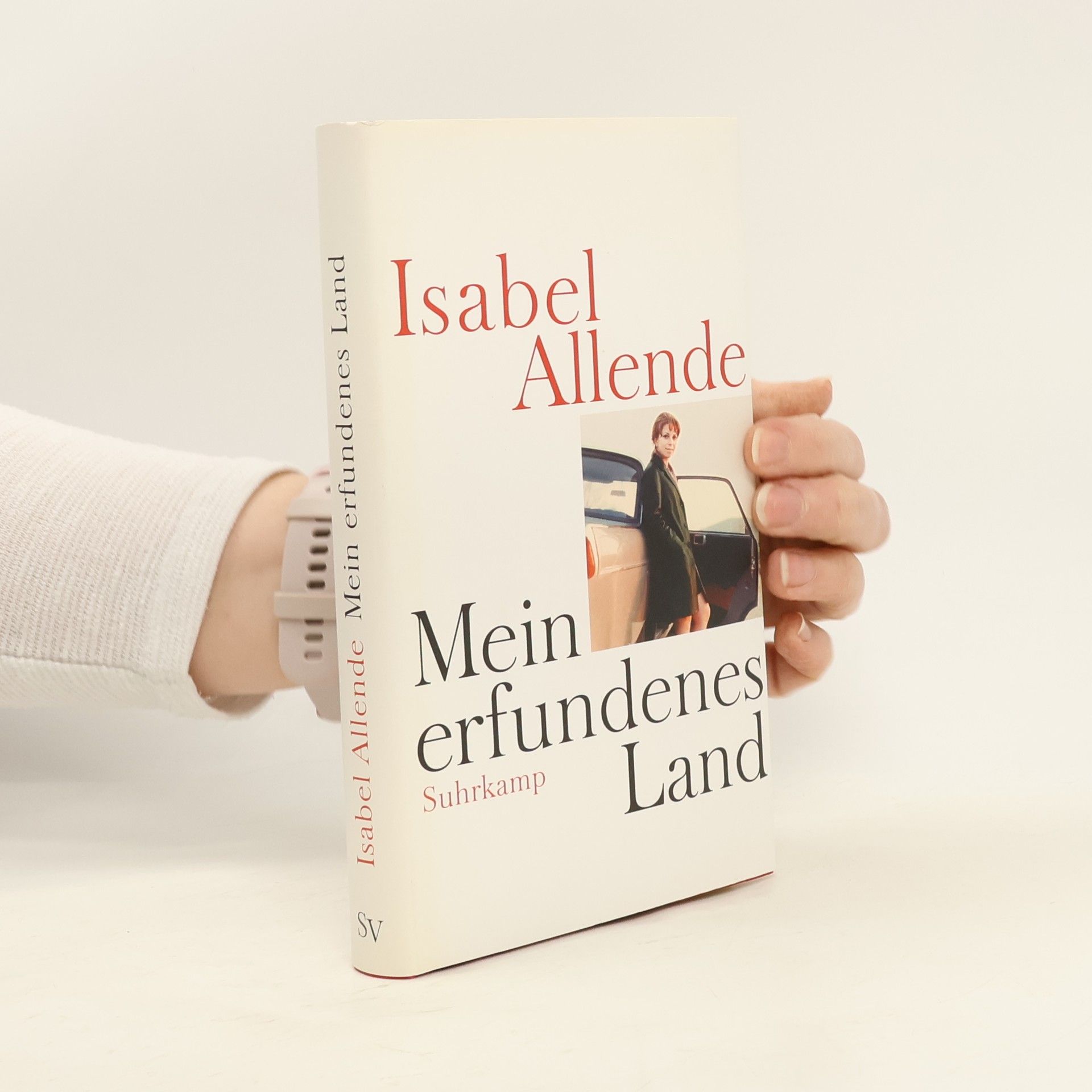 Isabel Allende Llona Mein erfundenes Land