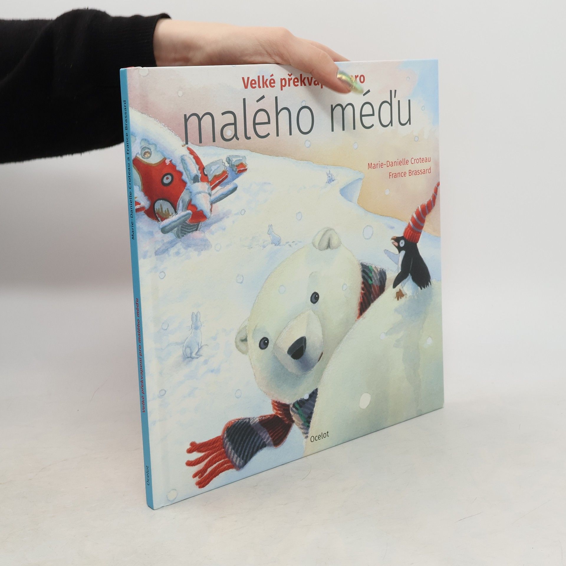 MarieDanielle Croteau Velké překvapení pro malého méďu